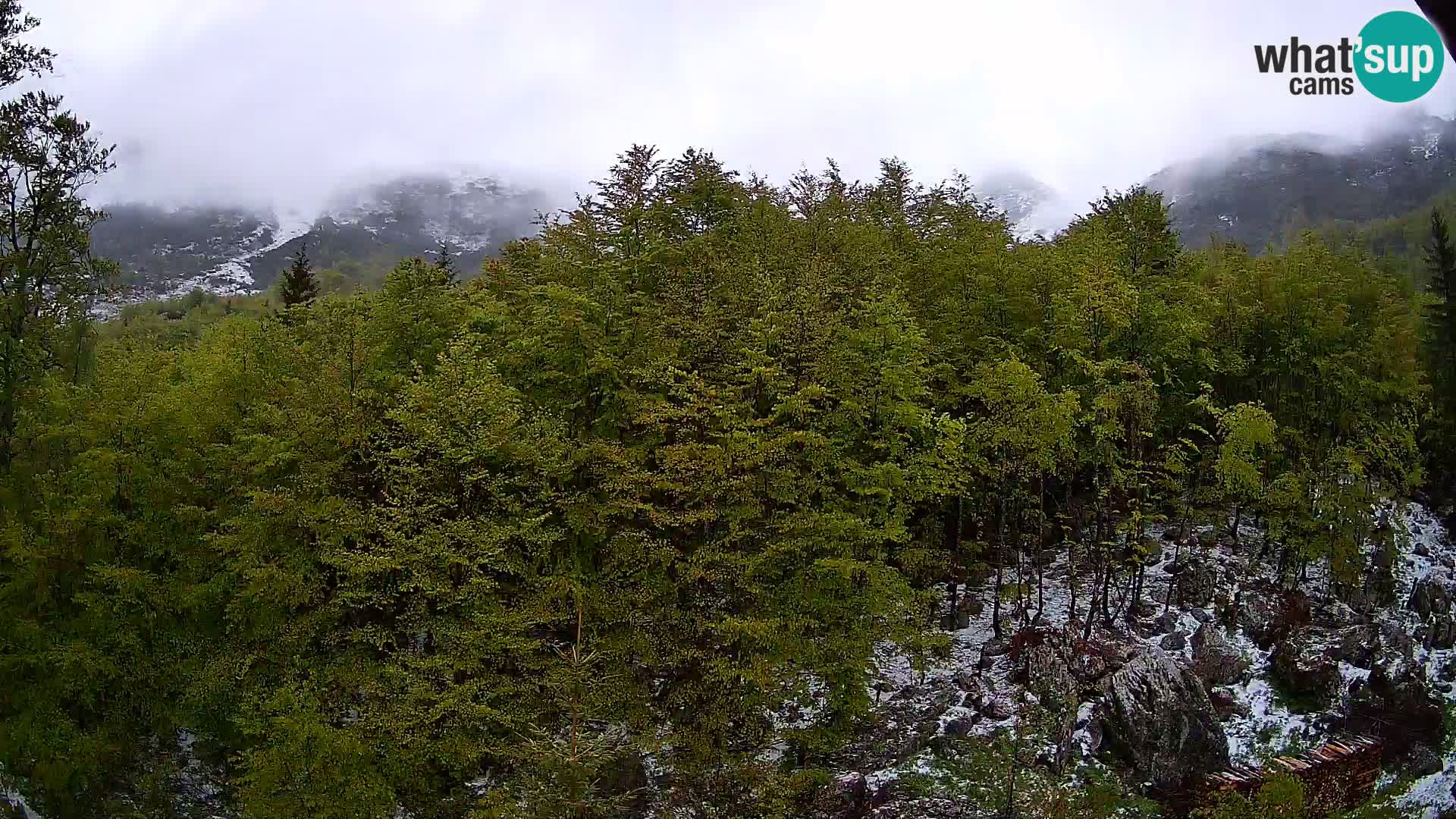 PLANINA RAZOR Live Cam (1315) | vista su Vogel e Globoko