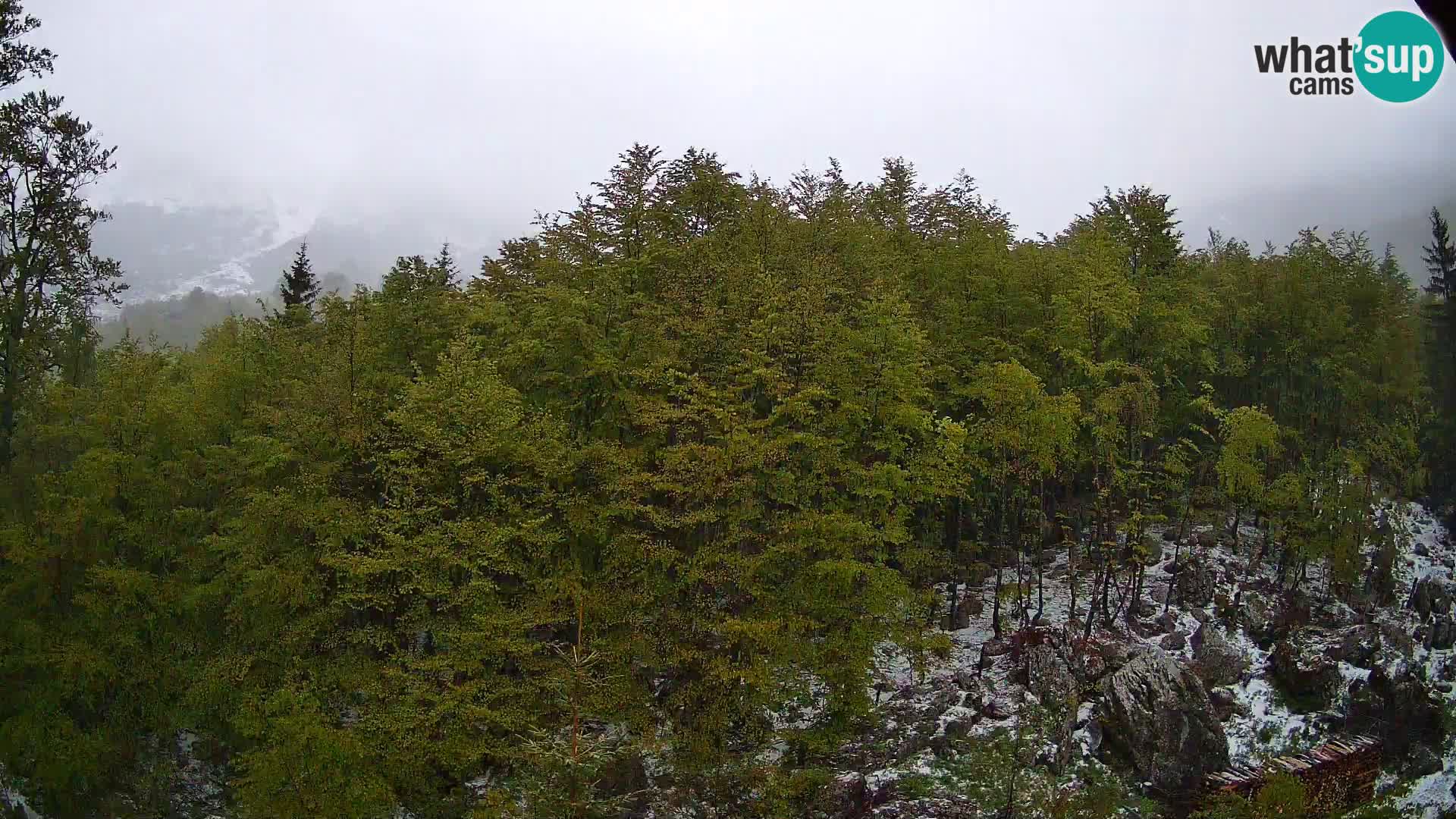 PLANINA RAZOR webcam (1315) | view to Vogel and Globoko