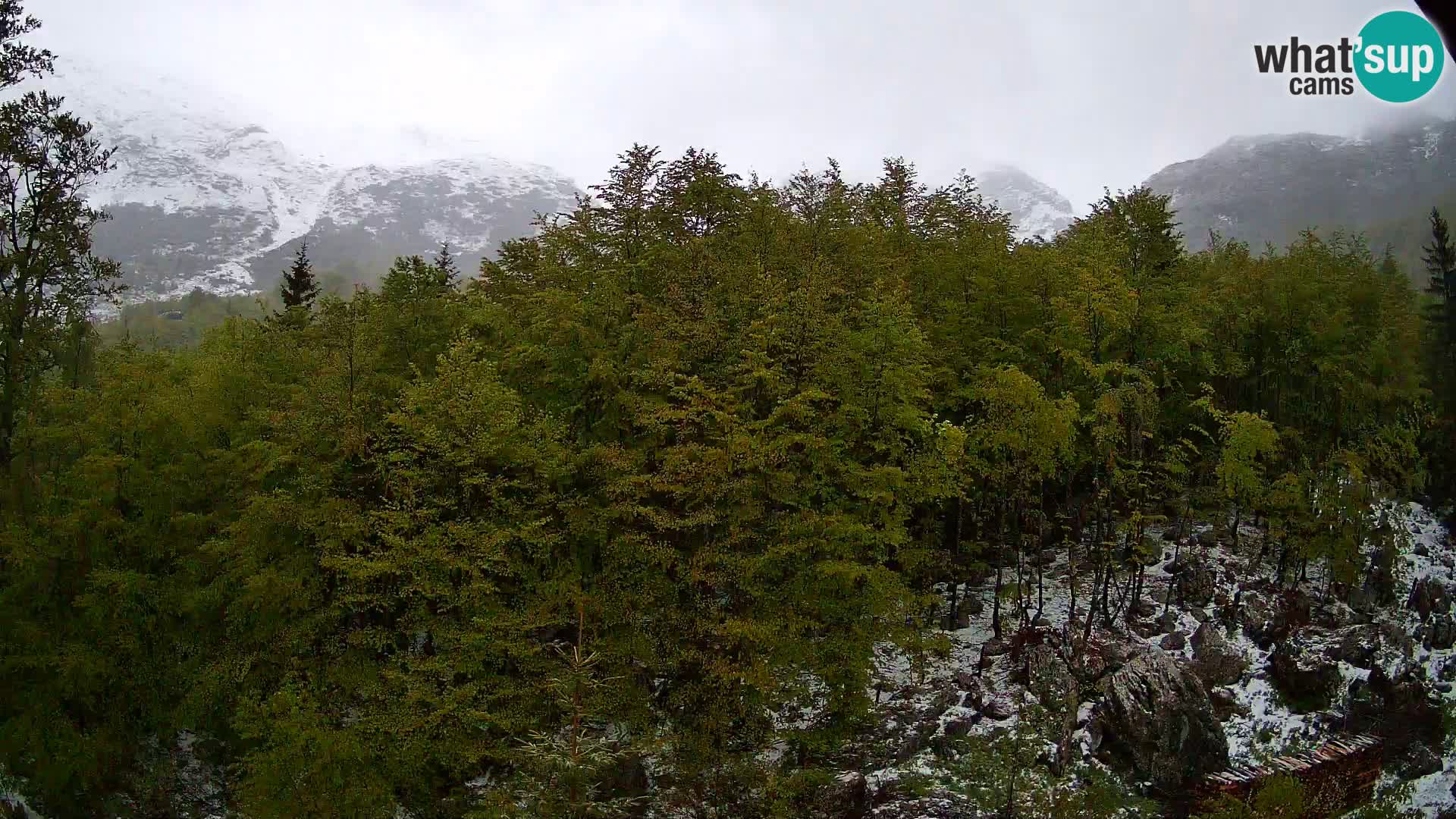 PLANINA RAZOR webcam (1315) | view to Vogel and Globoko