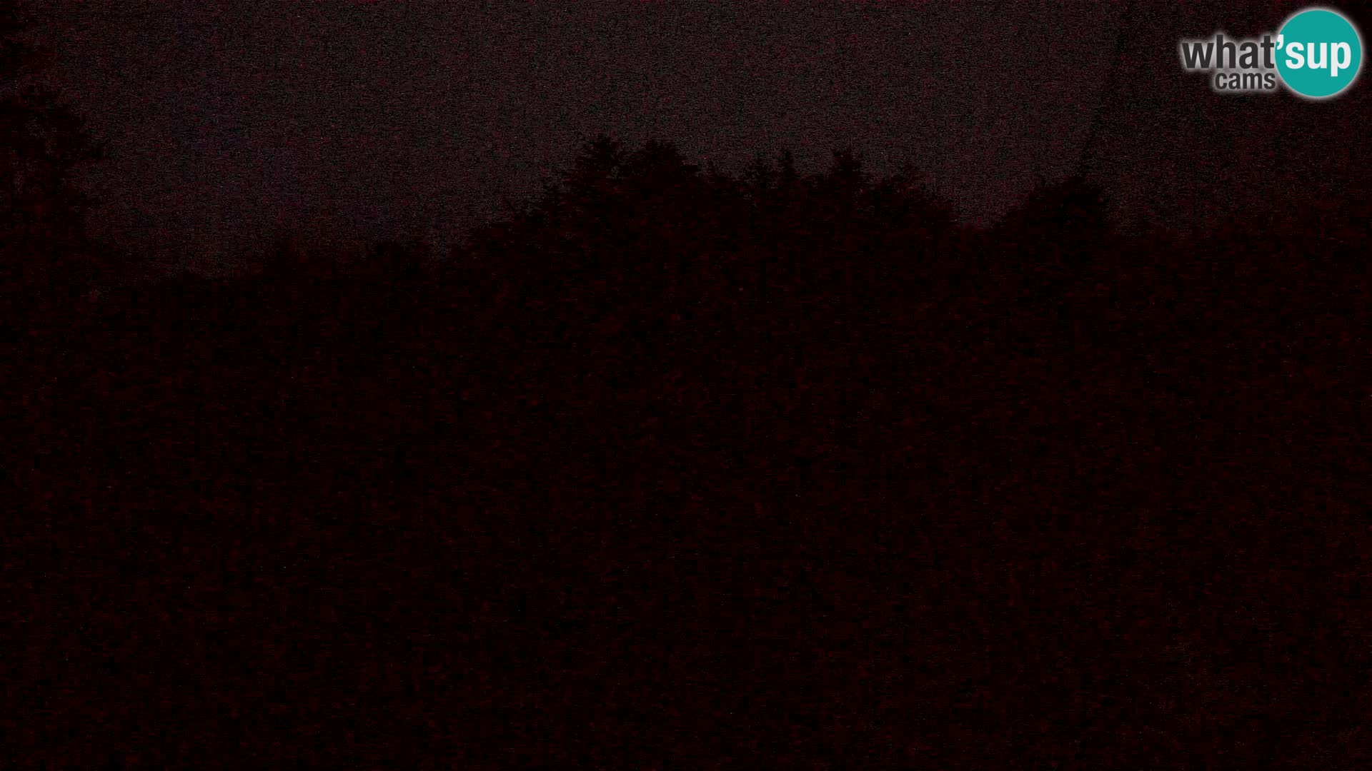 Livecam PLANINA RAZOR (1315) | vue sur Vogel et Globoko