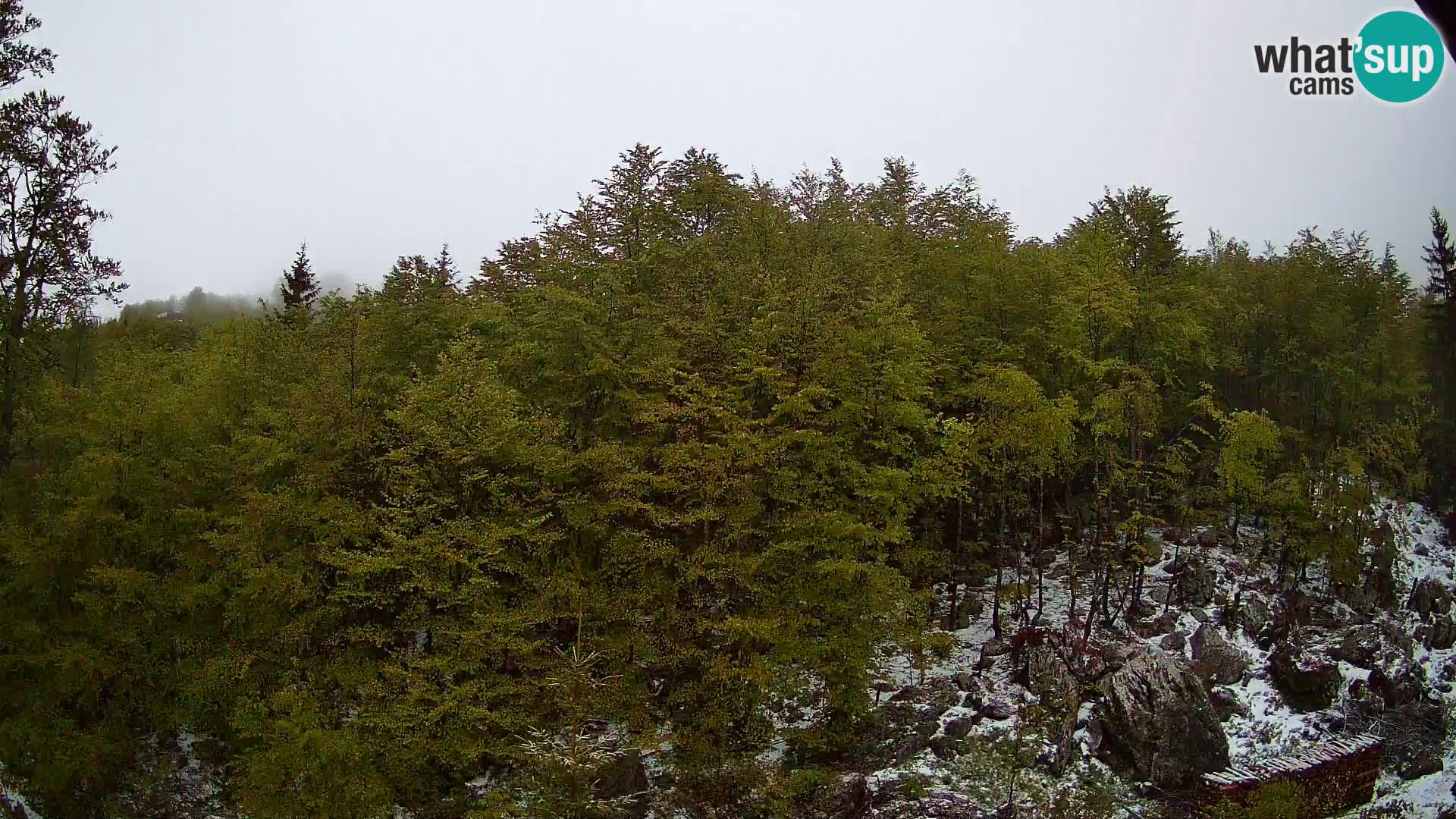 Webcam PLANINA RAZOR (1315) | Blick auf Vogel und Globoko