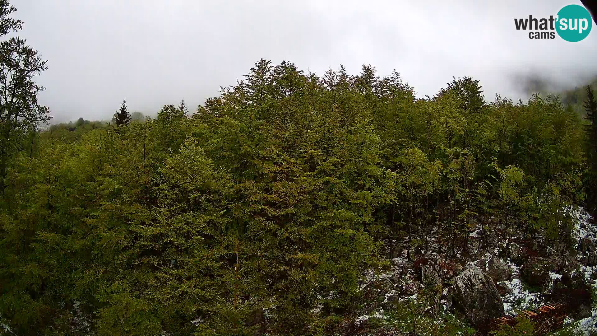 Webcam PLANINA RAZOR (1315) | Blick auf Vogel und Globoko