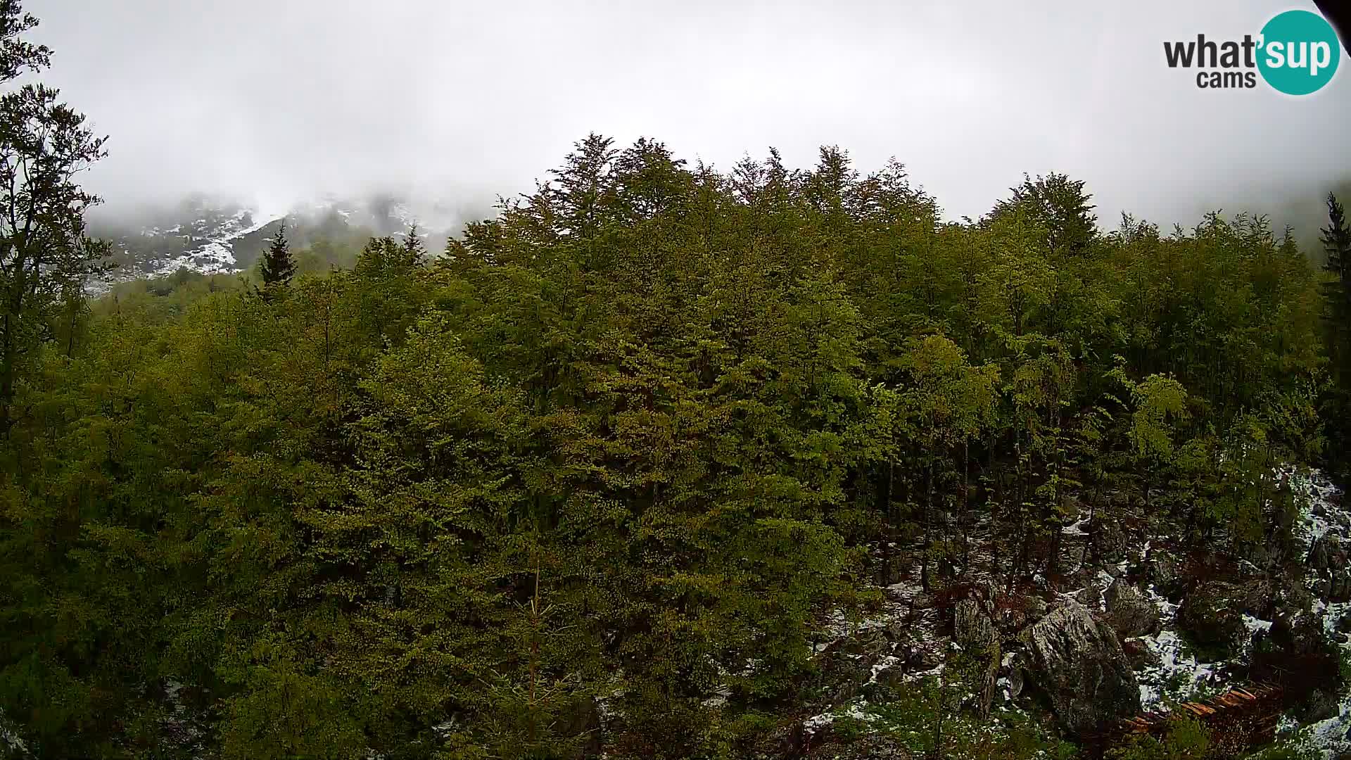 PLANINA RAZOR web kamera (1315) | pogled na Vogel i Globoko