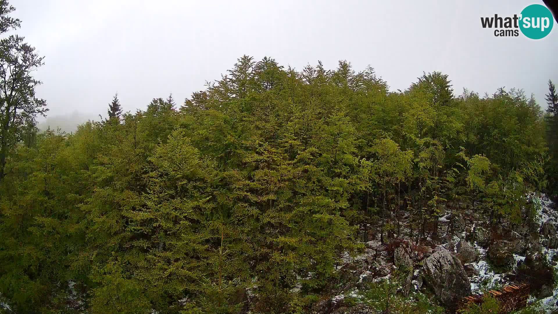 Webcam PLANINA RAZOR (1315) | Blick auf Vogel und Globoko