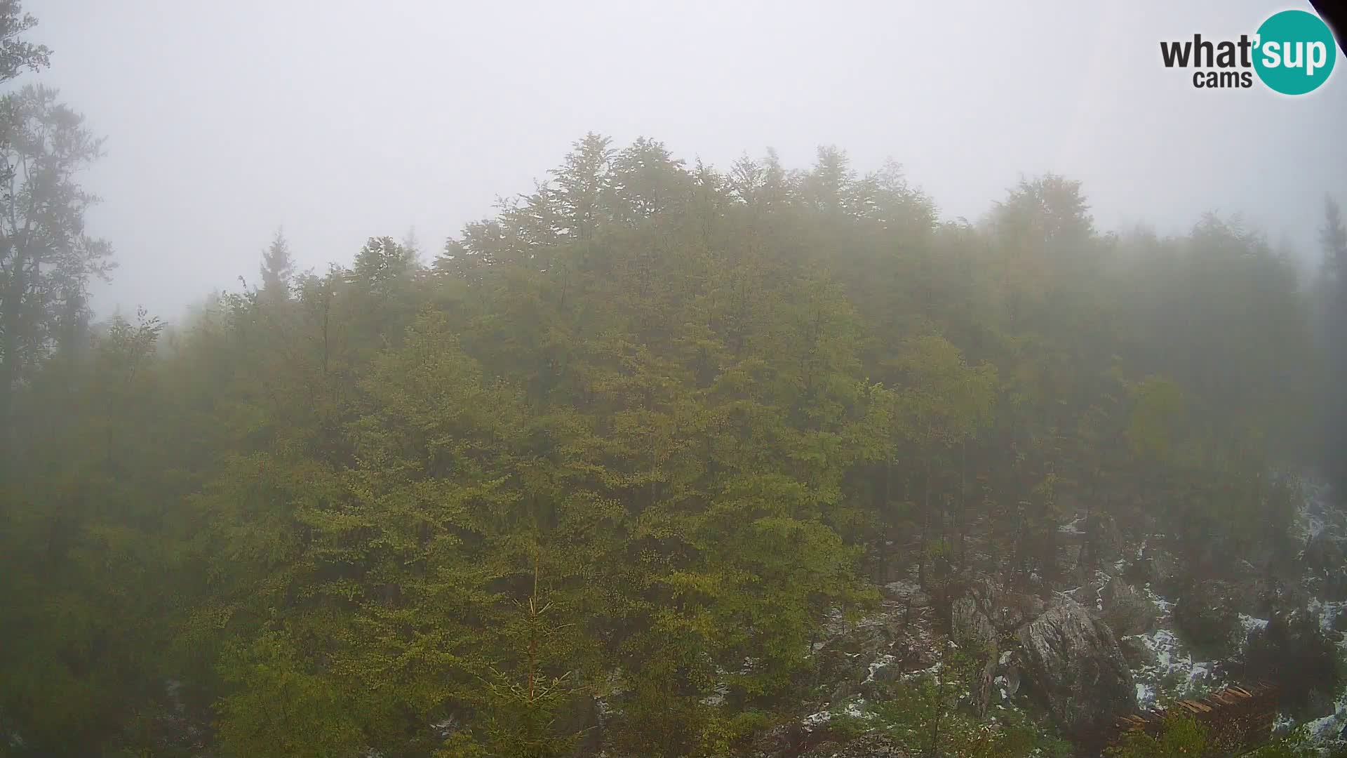 PLANINA RAZOR web kamera (1315) | pogled na Vogel i Globoko