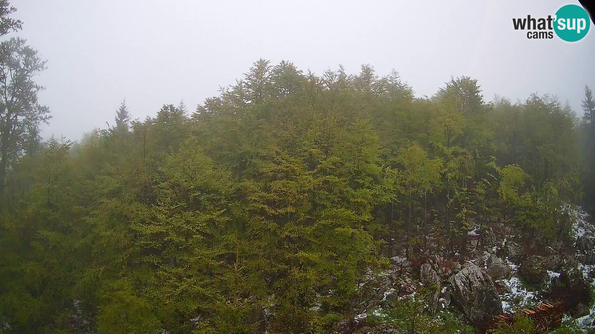 PLANINA RAZOR web kamera (1315) | pogled na Vogel i Globoko