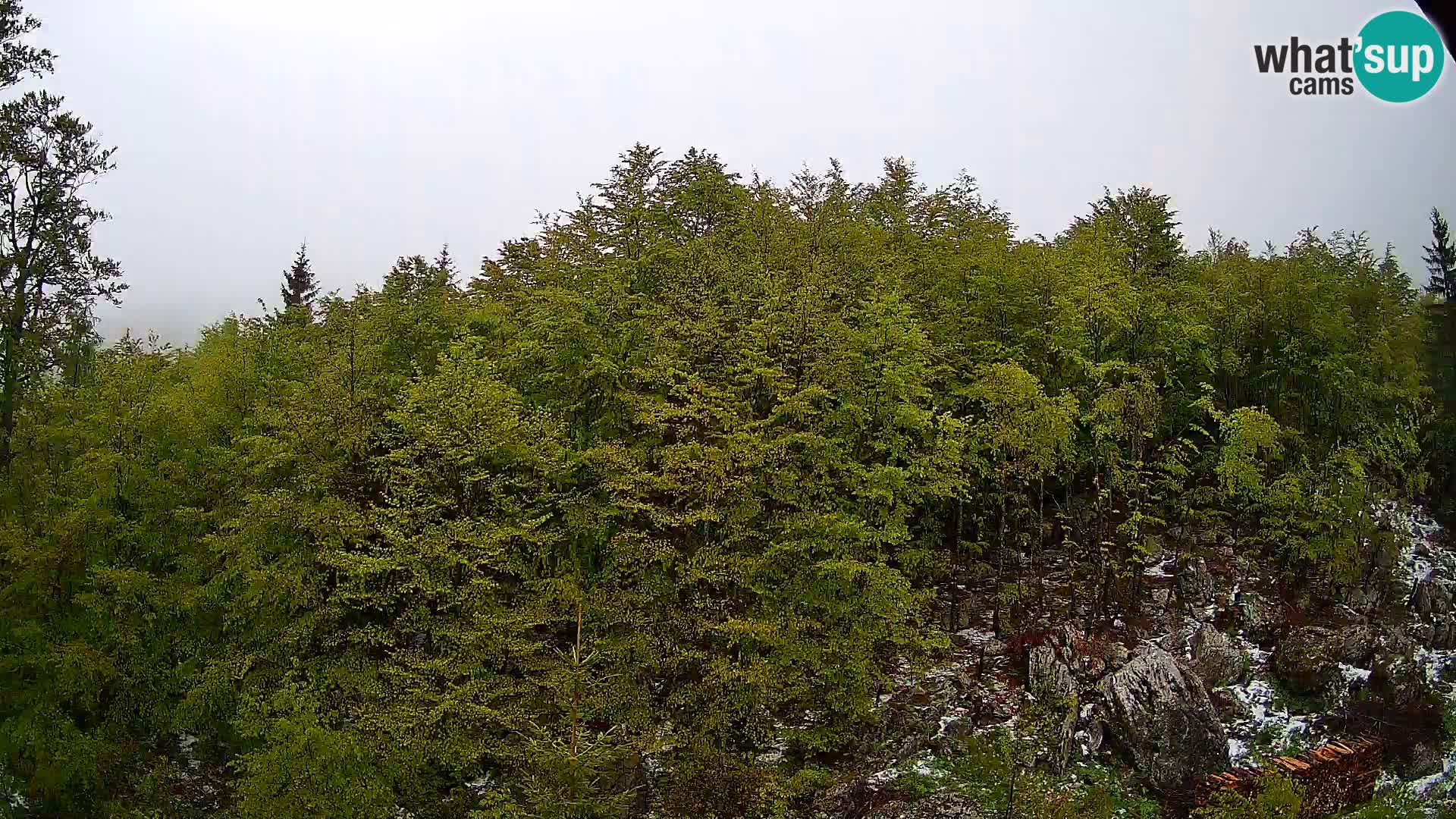 Webcam PLANINA RAZOR (1315) | Blick auf Vogel und Globoko