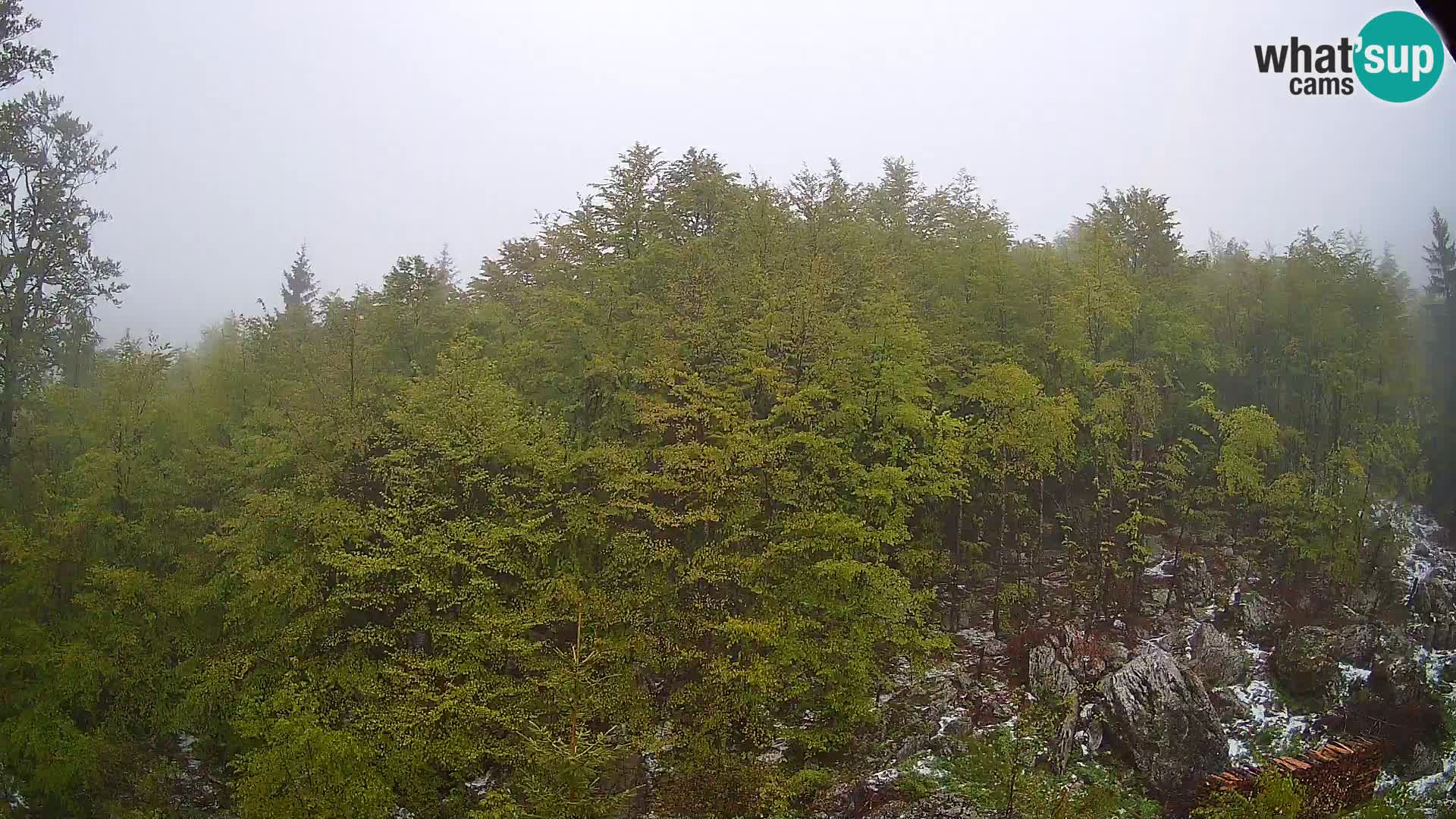 PLANINA RAZOR Live Cam (1315) | vista su Vogel e Globoko