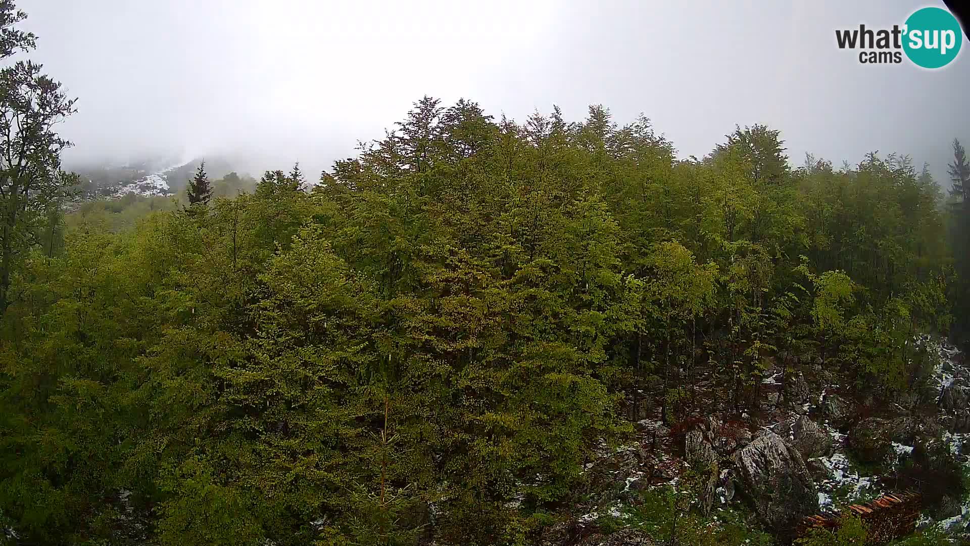 PLANINA RAZOR webcam (1315) | view to Vogel and Globoko