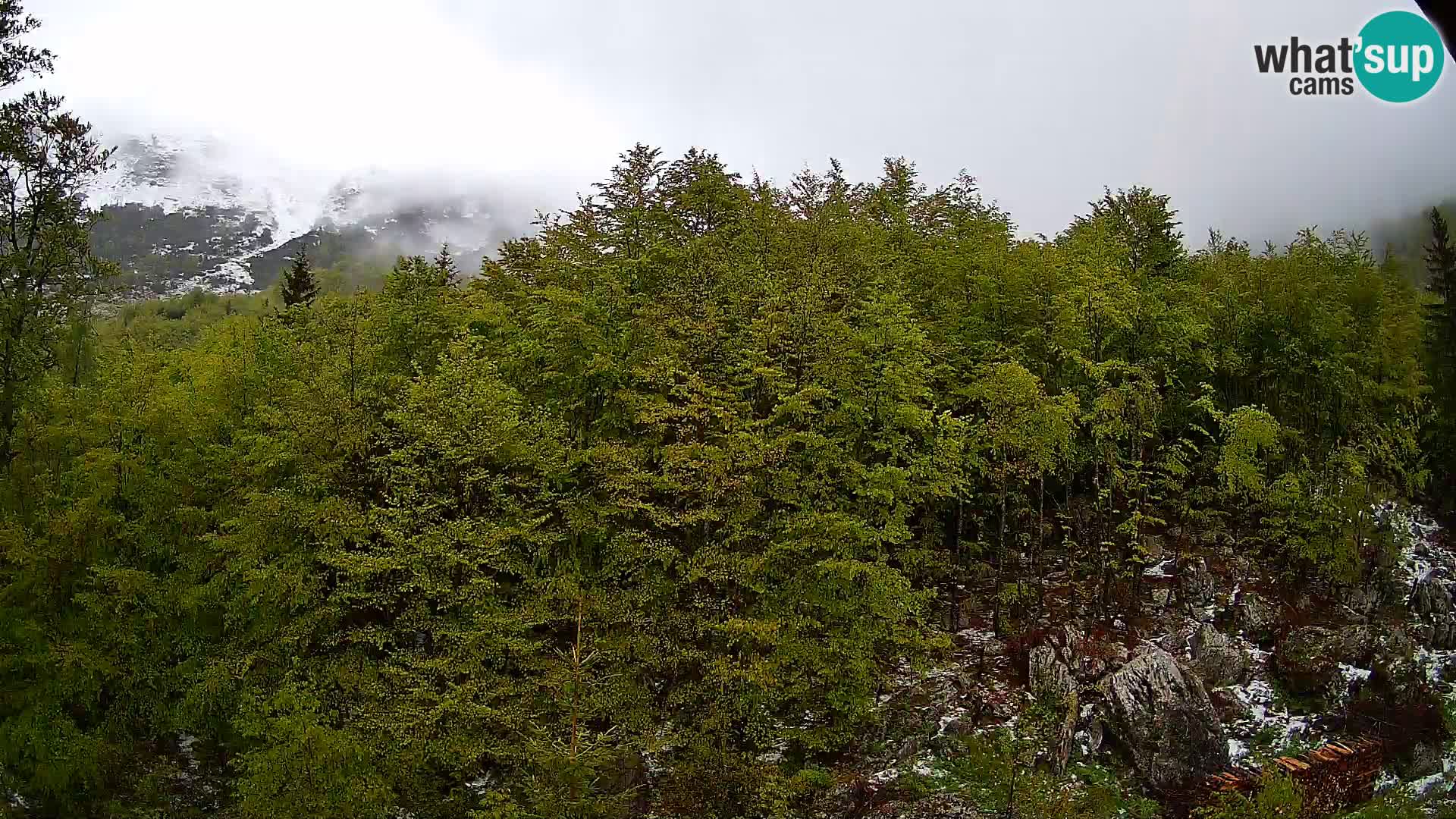 Webcam PLANINA RAZOR (1315) | Blick auf Vogel und Globoko