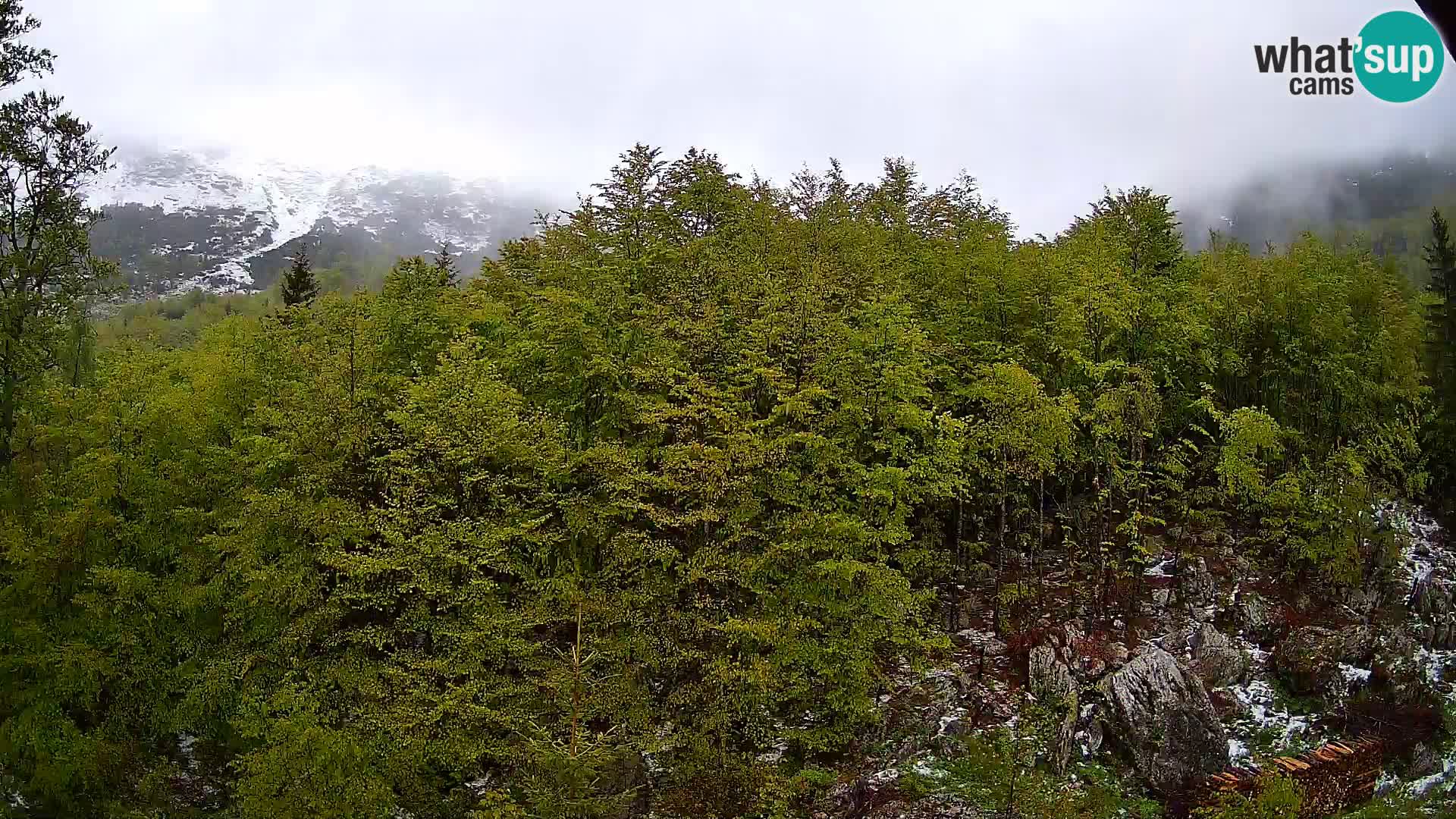 Webcam PLANINA RAZOR (1315) | Blick auf Vogel und Globoko