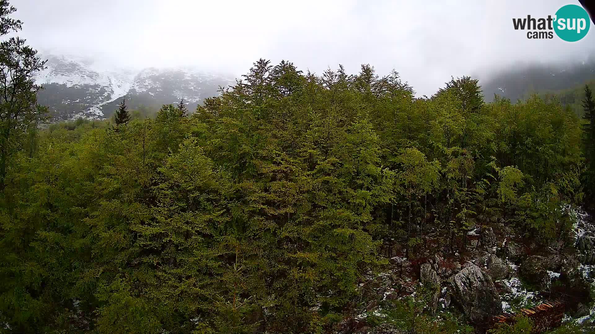 PLANINA RAZOR Live Cam (1315) | vista su Vogel e Globoko