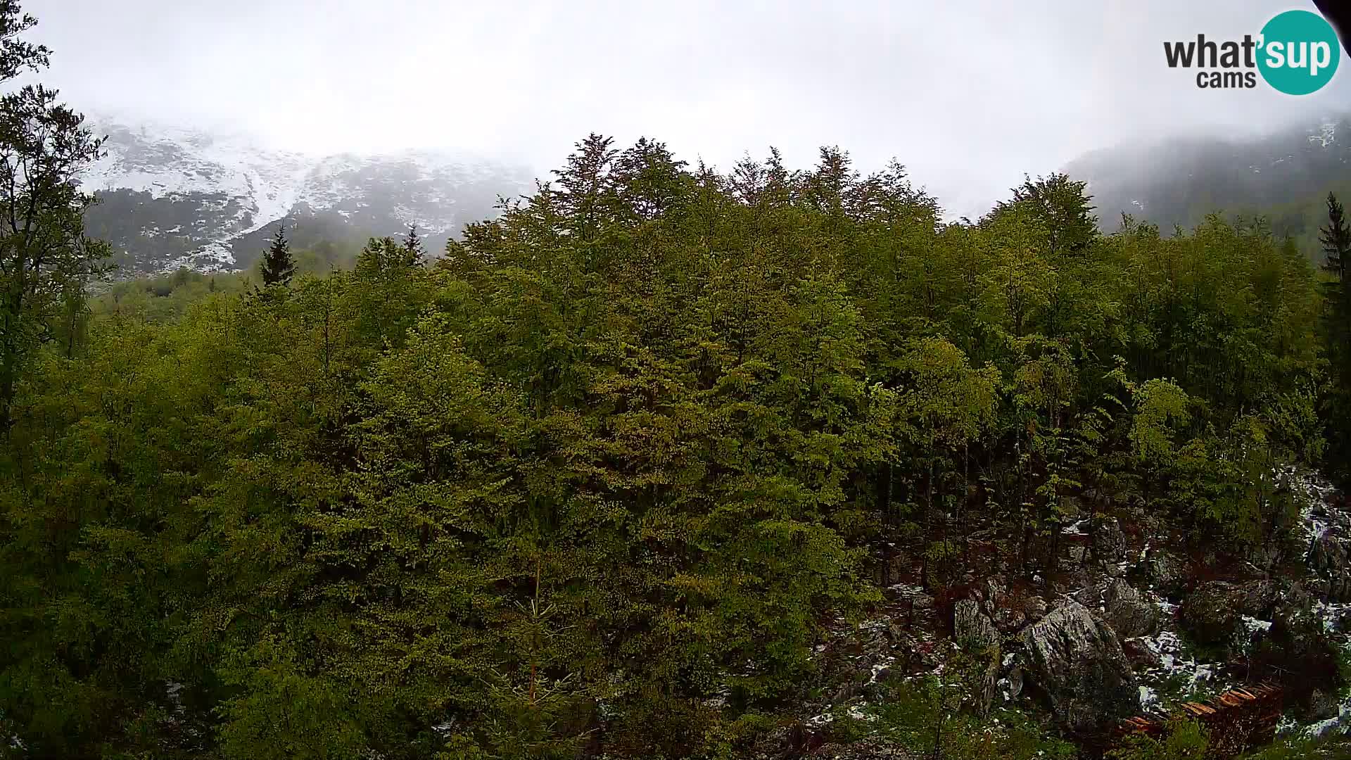 PLANINA RAZOR kamera (1315) | pogled na Vogel in Globoko