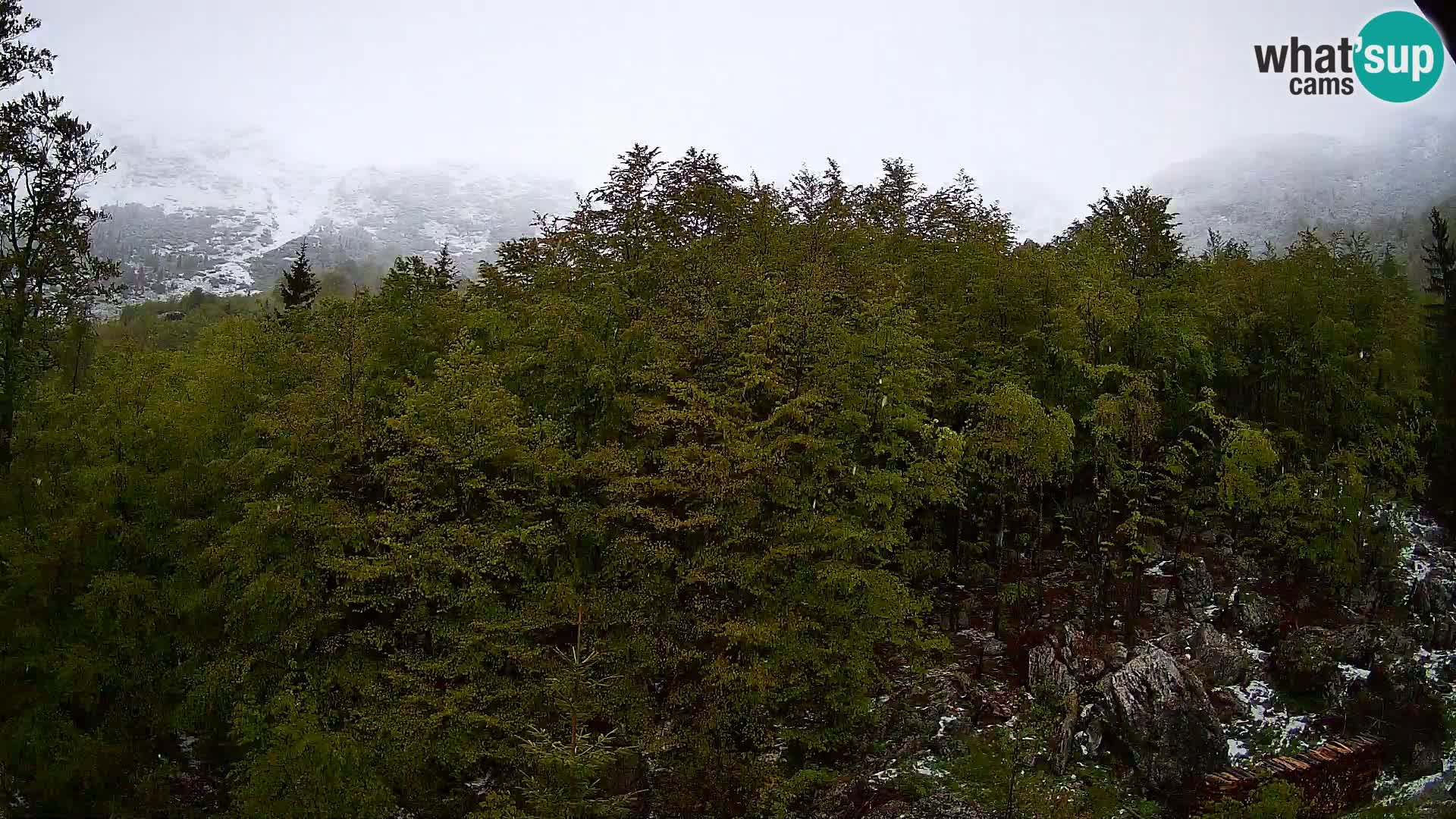 PLANINA RAZOR kamera (1315) | pogled na Vogel in Globoko