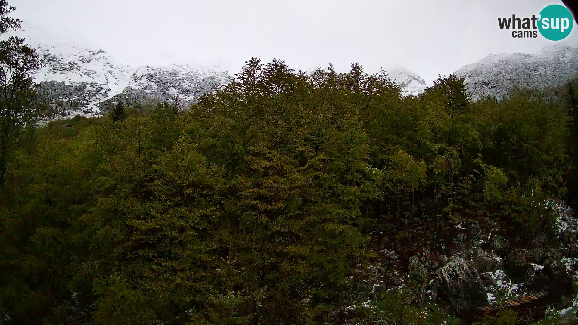 Webcam PLANINA RAZOR (1315) | Blick auf Vogel und Globoko