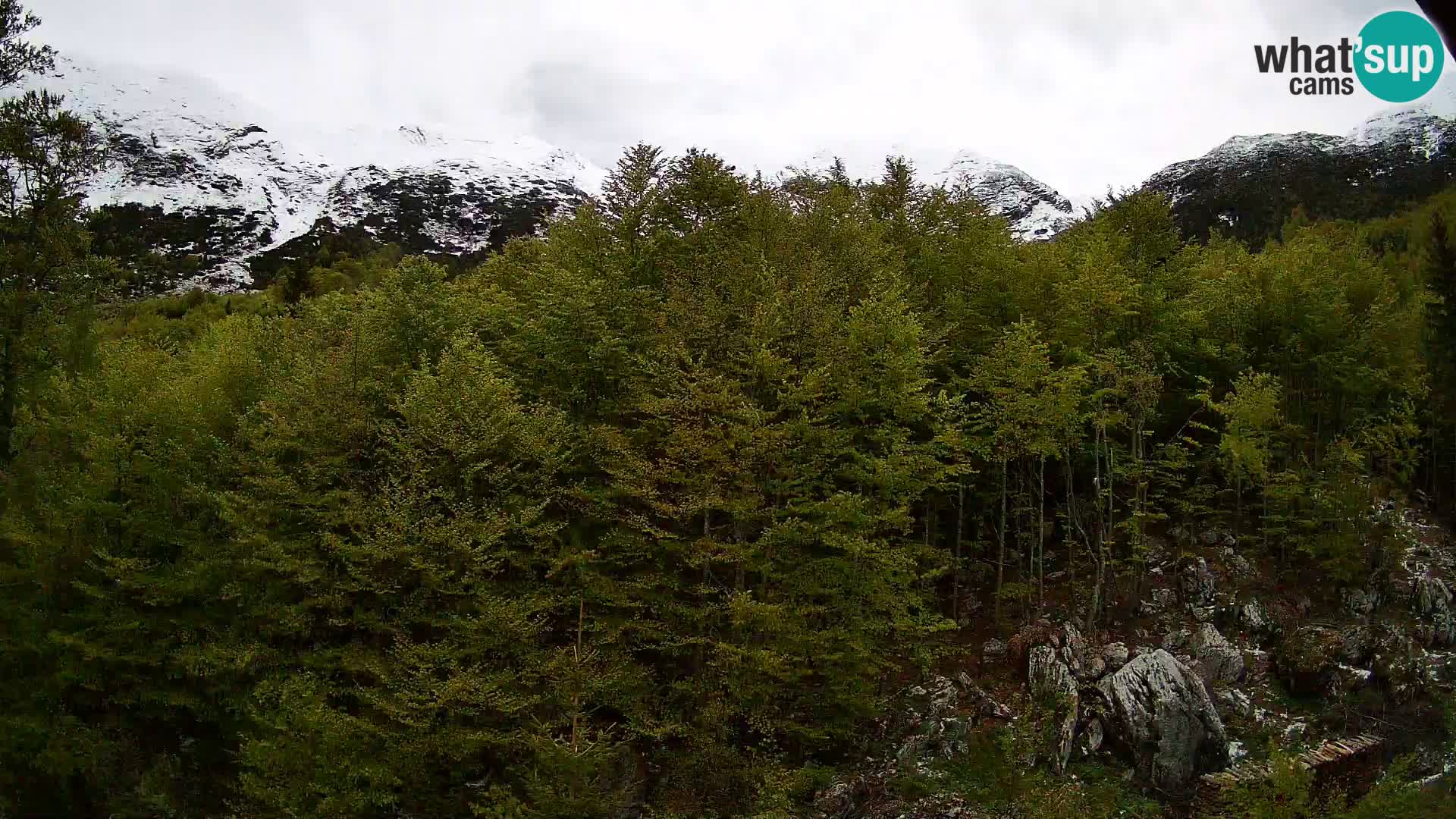 Cámara web PLANINA RAZOR (1315) | vista a Vogel y Globoko