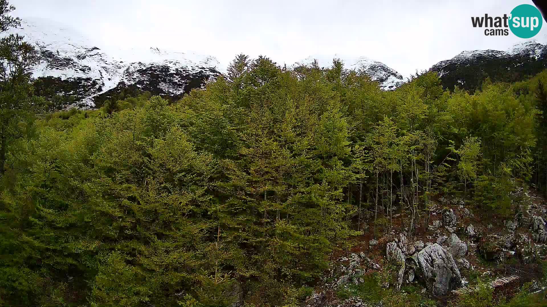 Cámara web PLANINA RAZOR (1315) | vista a Vogel y Globoko