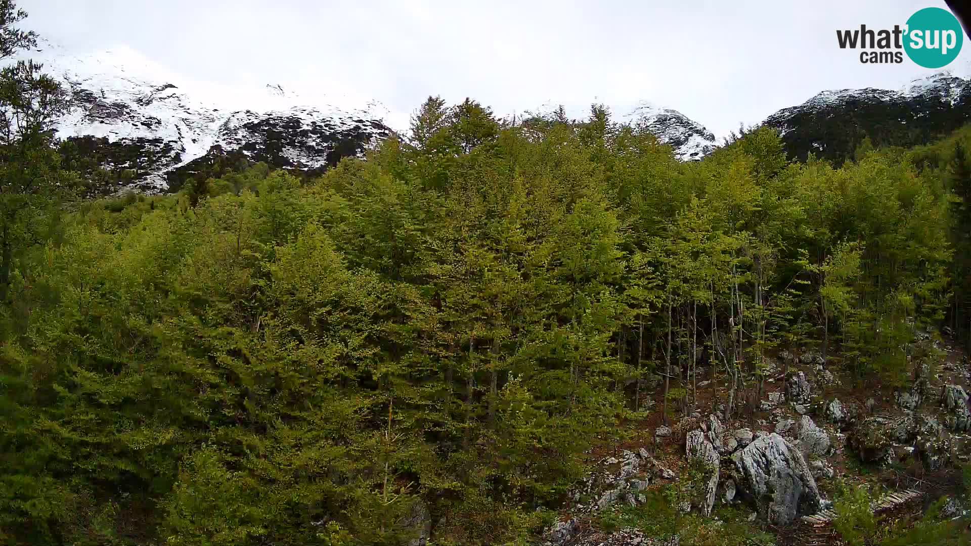 Webcam PLANINA RAZOR (1315) | Blick auf Vogel und Globoko