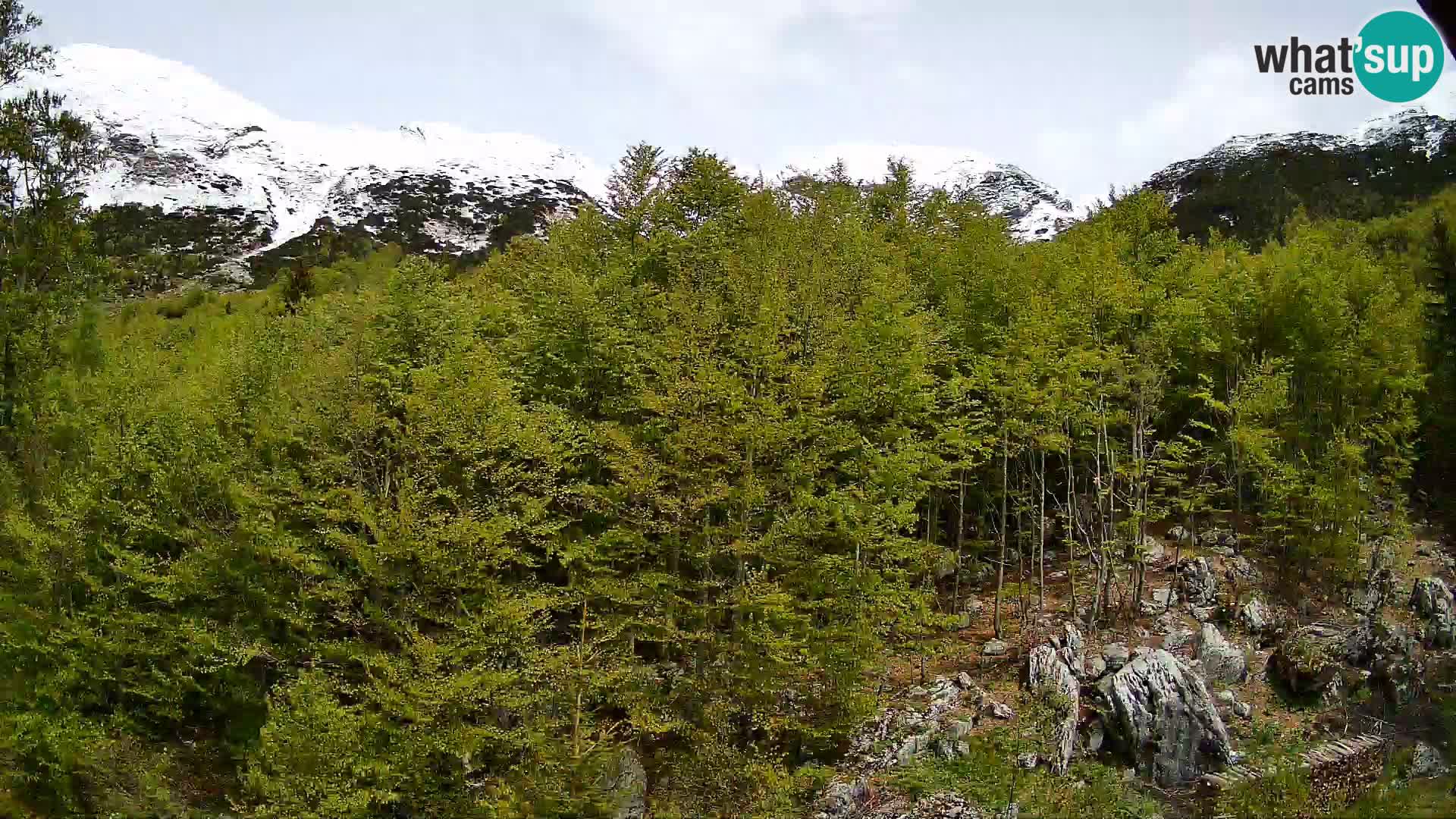 PLANINA RAZOR kamera (1315) | pogled na Vogel in Globoko