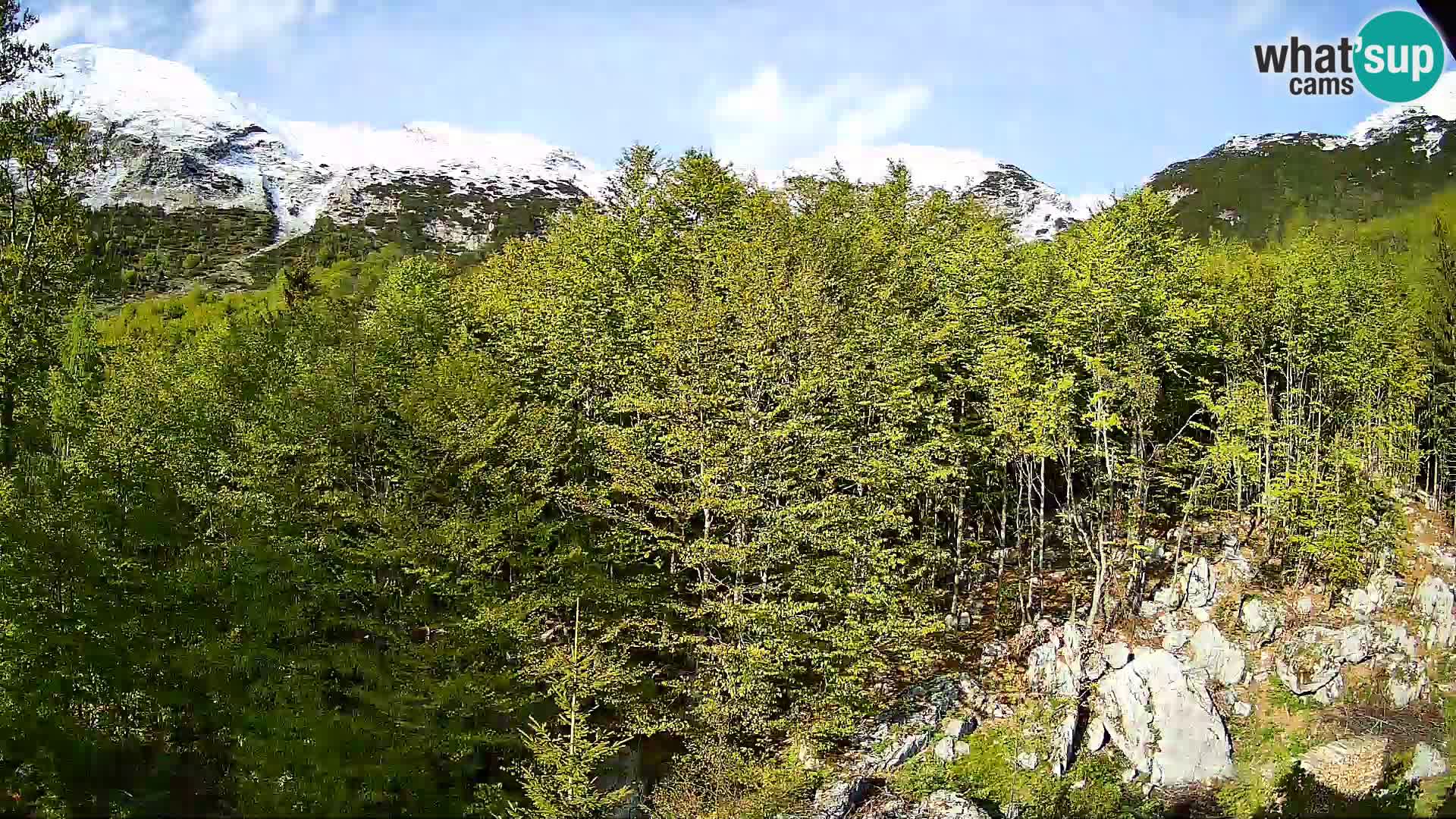 PLANINA RAZOR kamera (1315) | pogled na Vogel in Globoko
