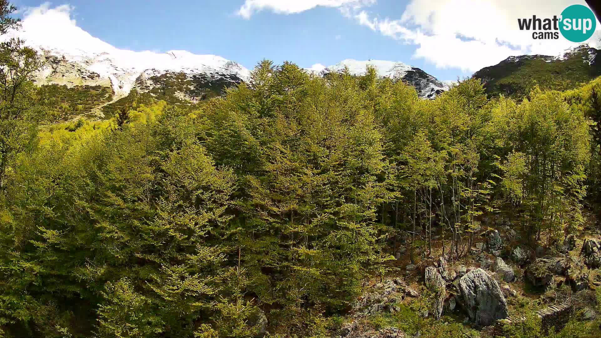 PLANINA RAZOR kamera (1315) | pogled na Vogel in Globoko