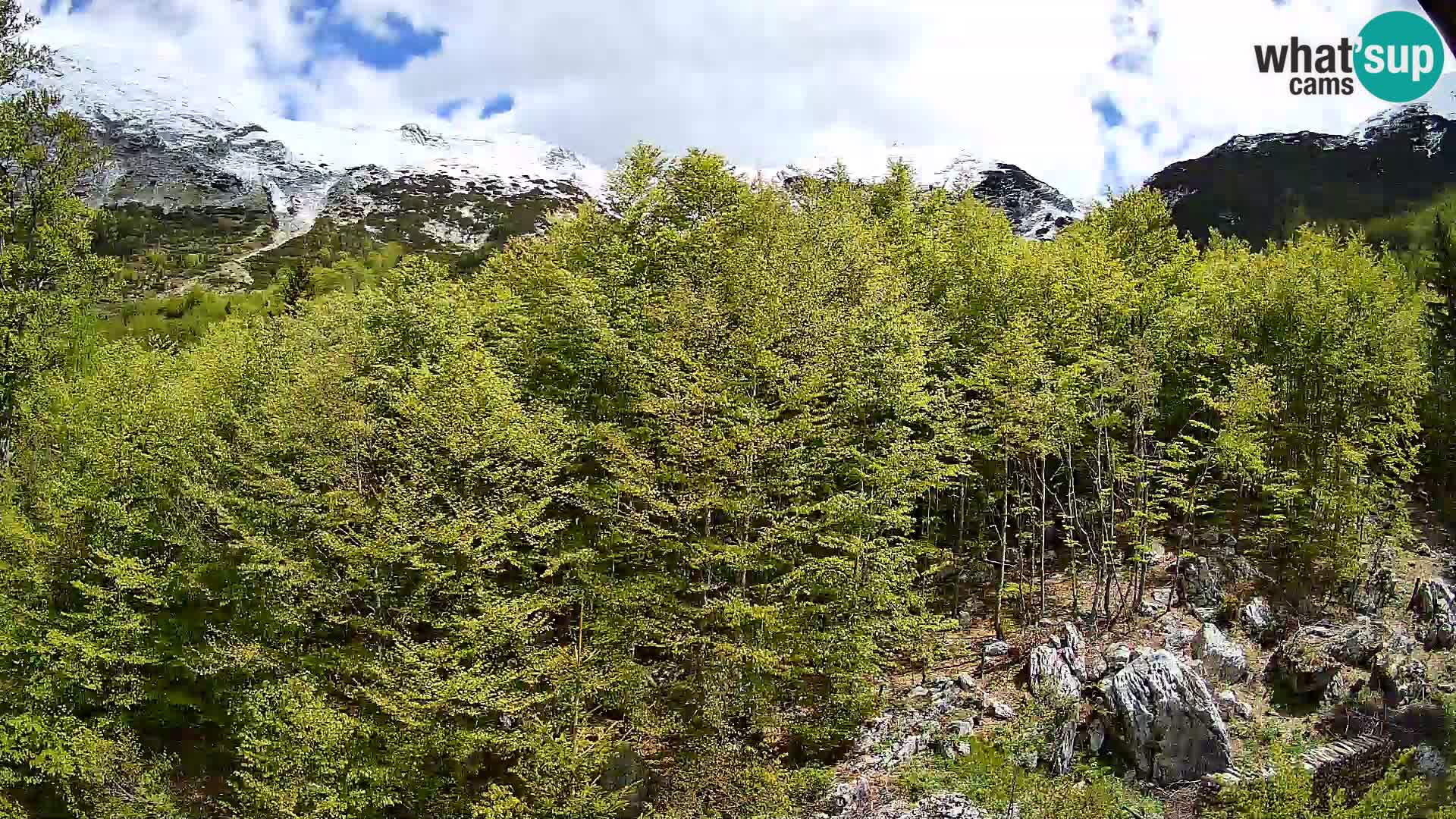 PLANINA RAZOR web kamera (1315) | pogled na Vogel i Globoko