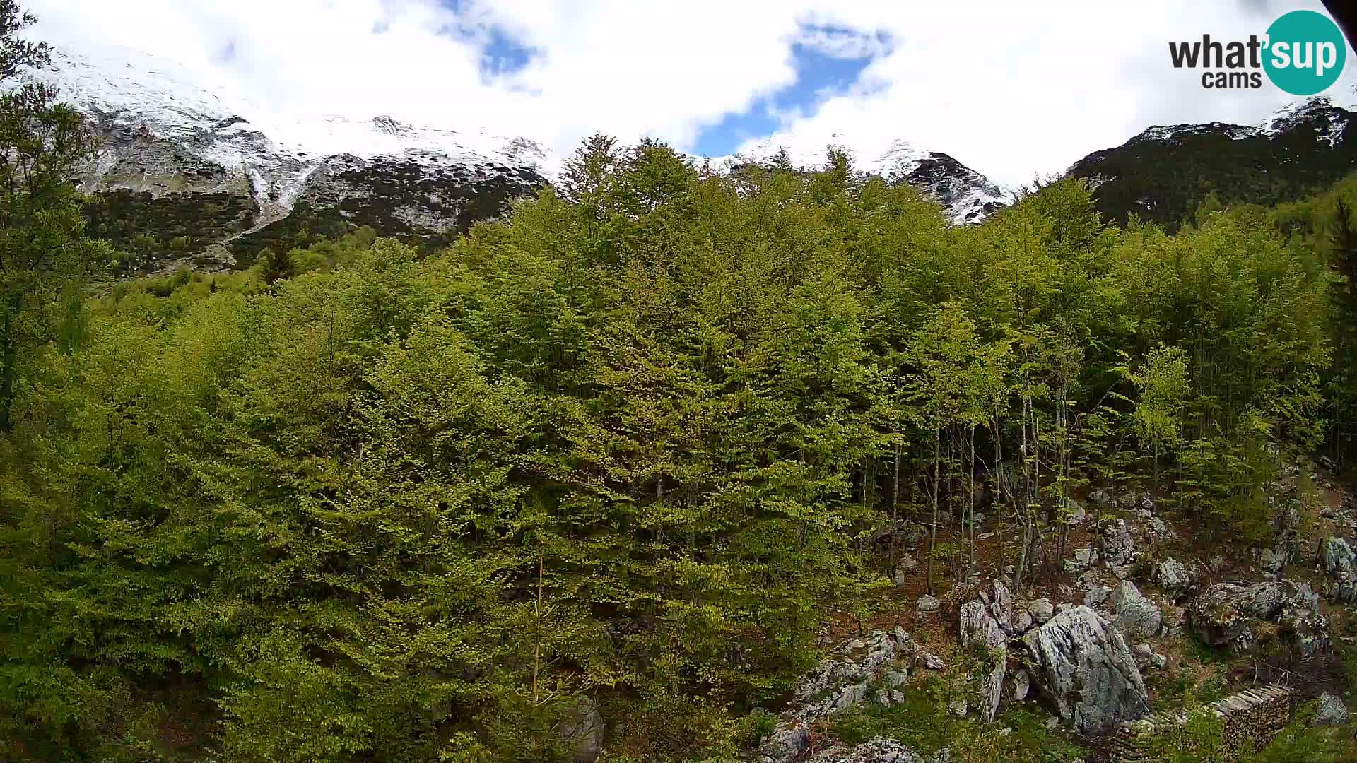 Livecam PLANINA RAZOR (1315) | vue sur Vogel et Globoko