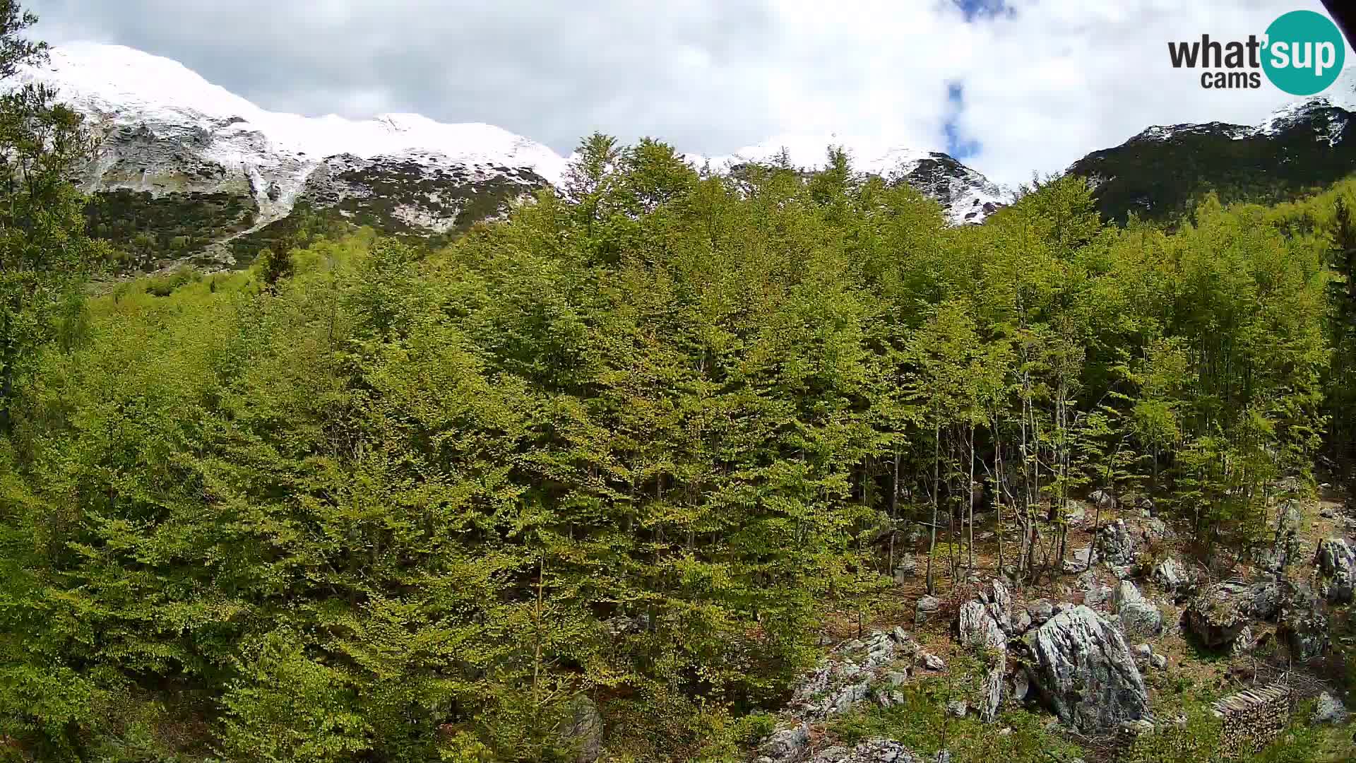 Livecam PLANINA RAZOR (1315) | vue sur Vogel et Globoko