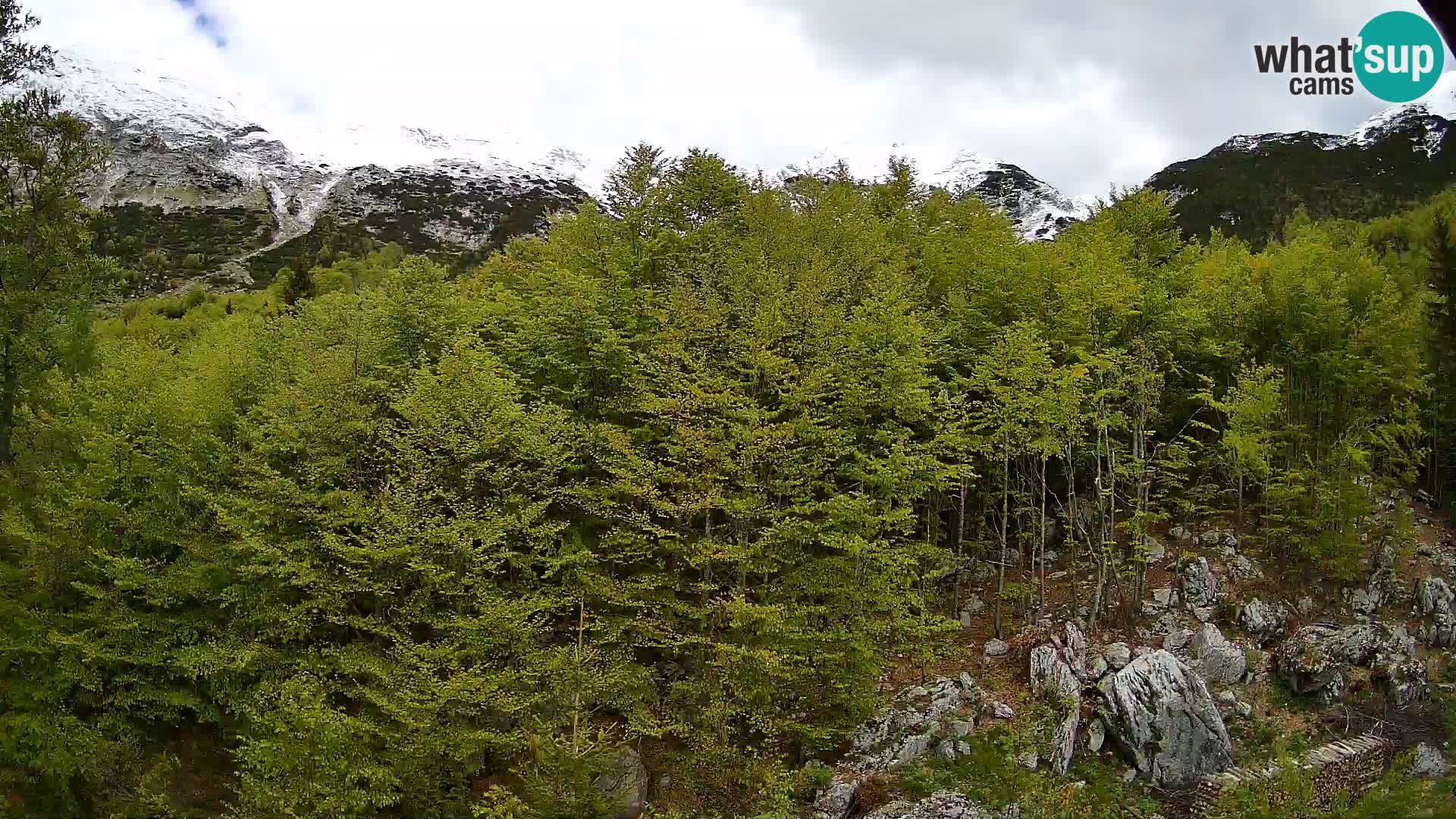 PLANINA RAZOR webcam (1315) | view to Vogel and Globoko