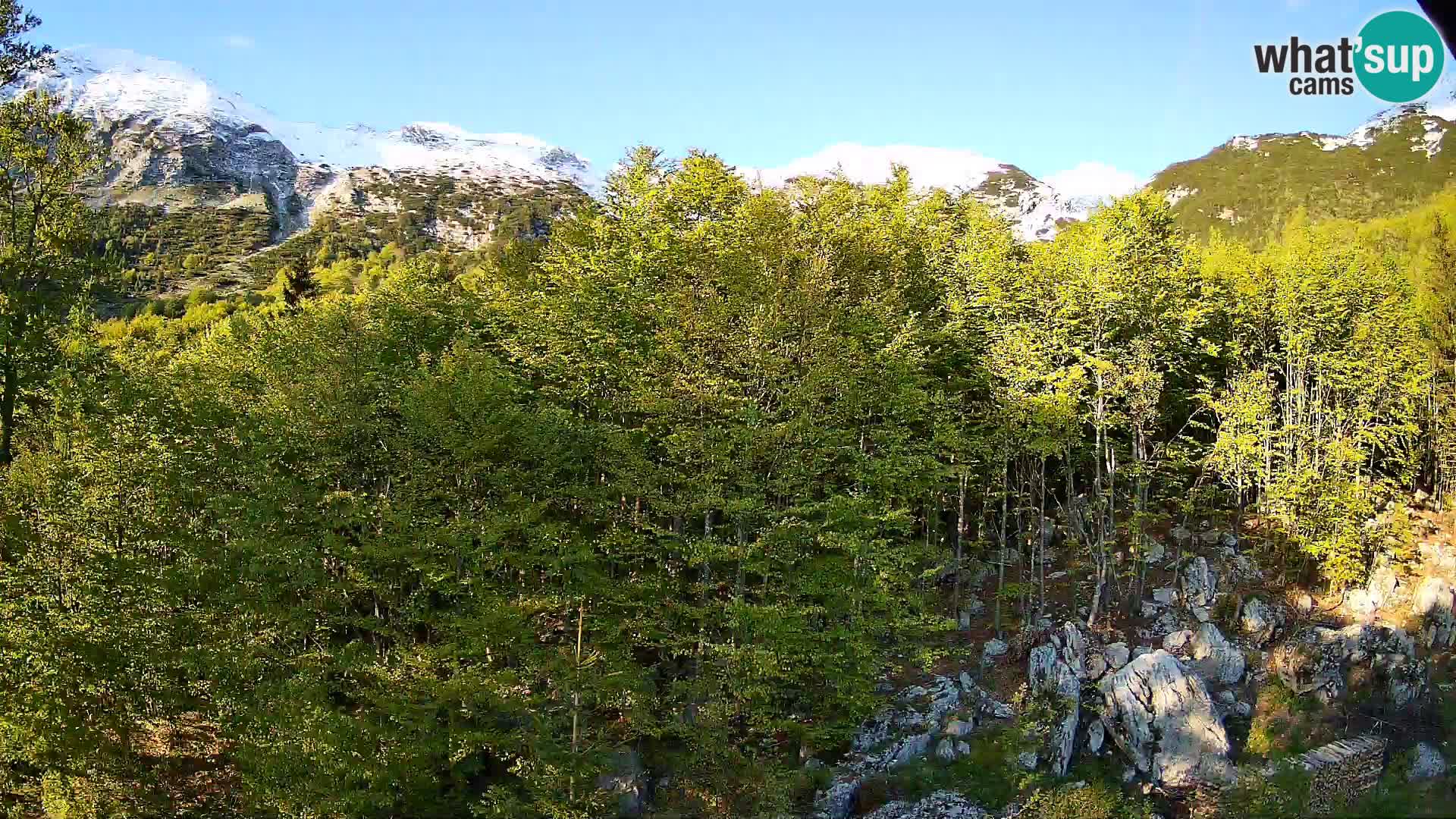 Webcam PLANINA RAZOR (1315) | Blick auf Vogel und Globoko