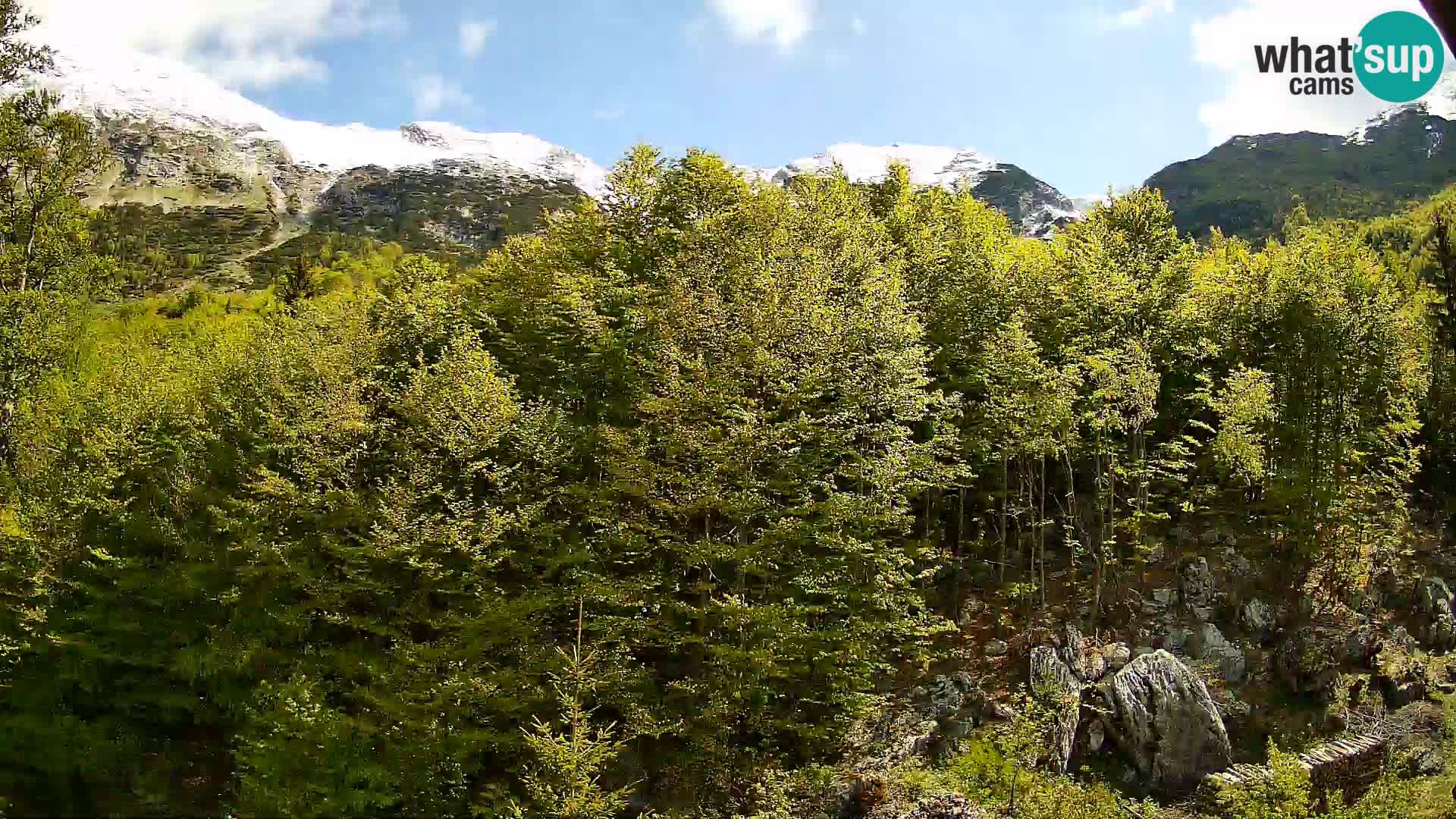 PLANINA RAZOR Live Cam (1315) | vista su Vogel e Globoko