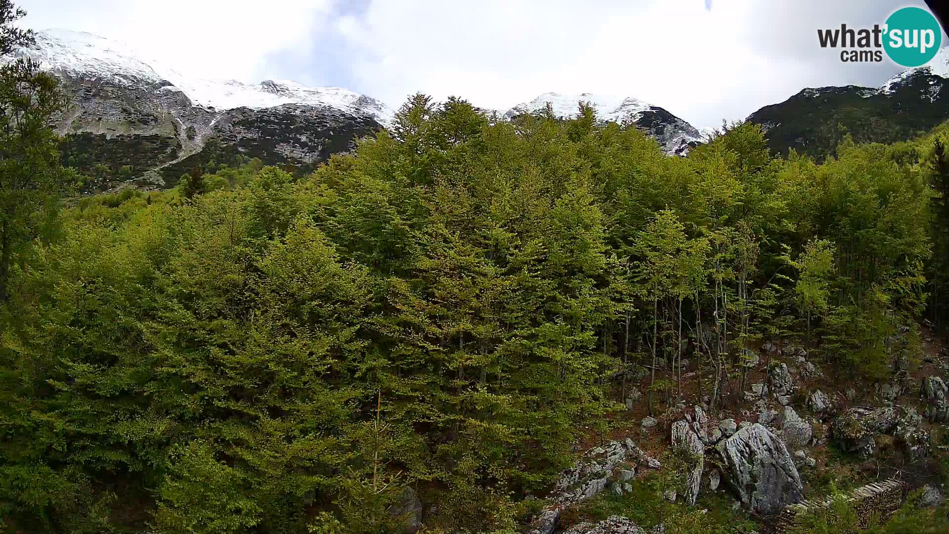 Livecam PLANINA RAZOR (1315) | vue sur Vogel et Globoko