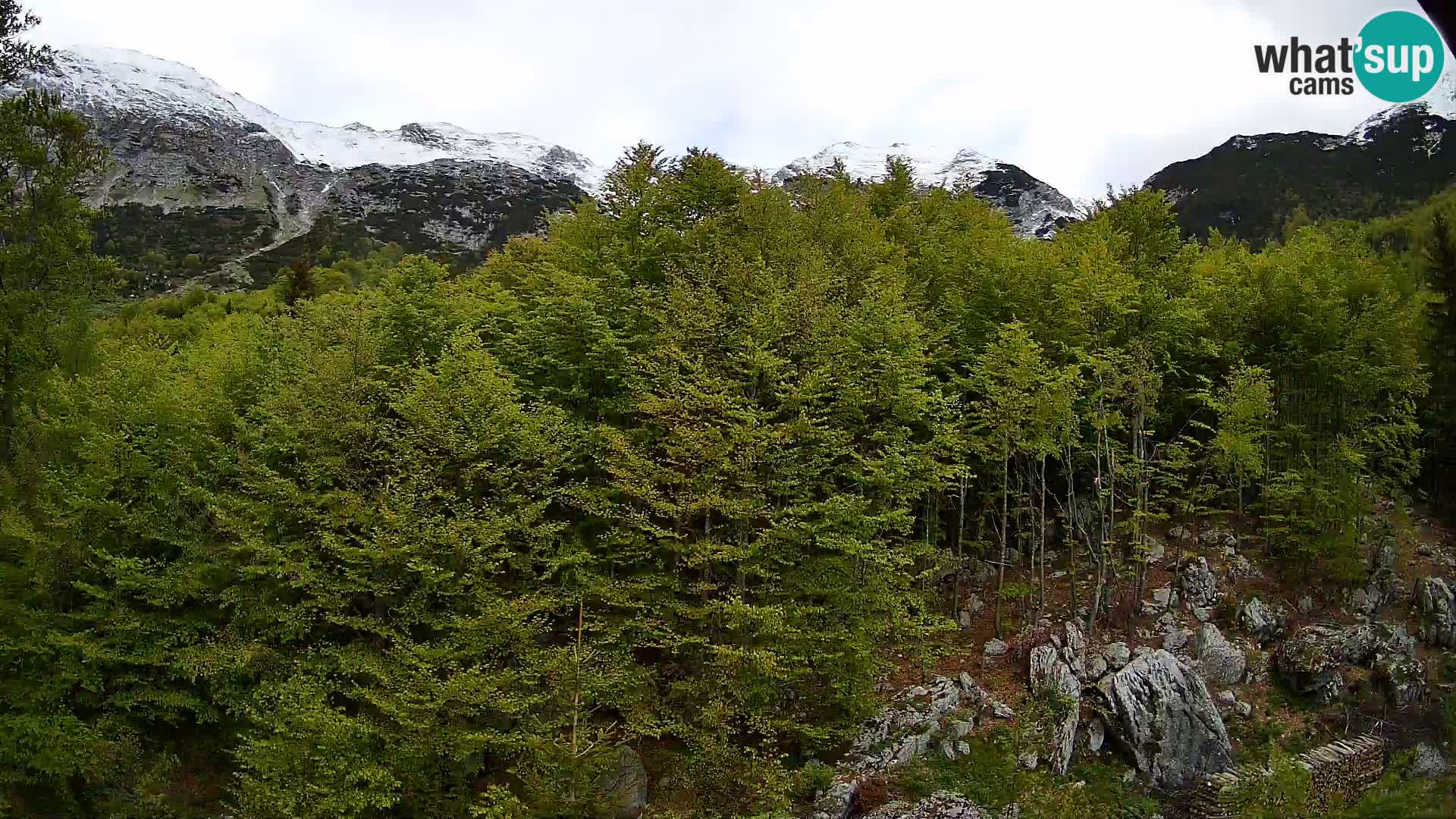 PLANINA RAZOR webcam (1315) | view to Vogel and Globoko