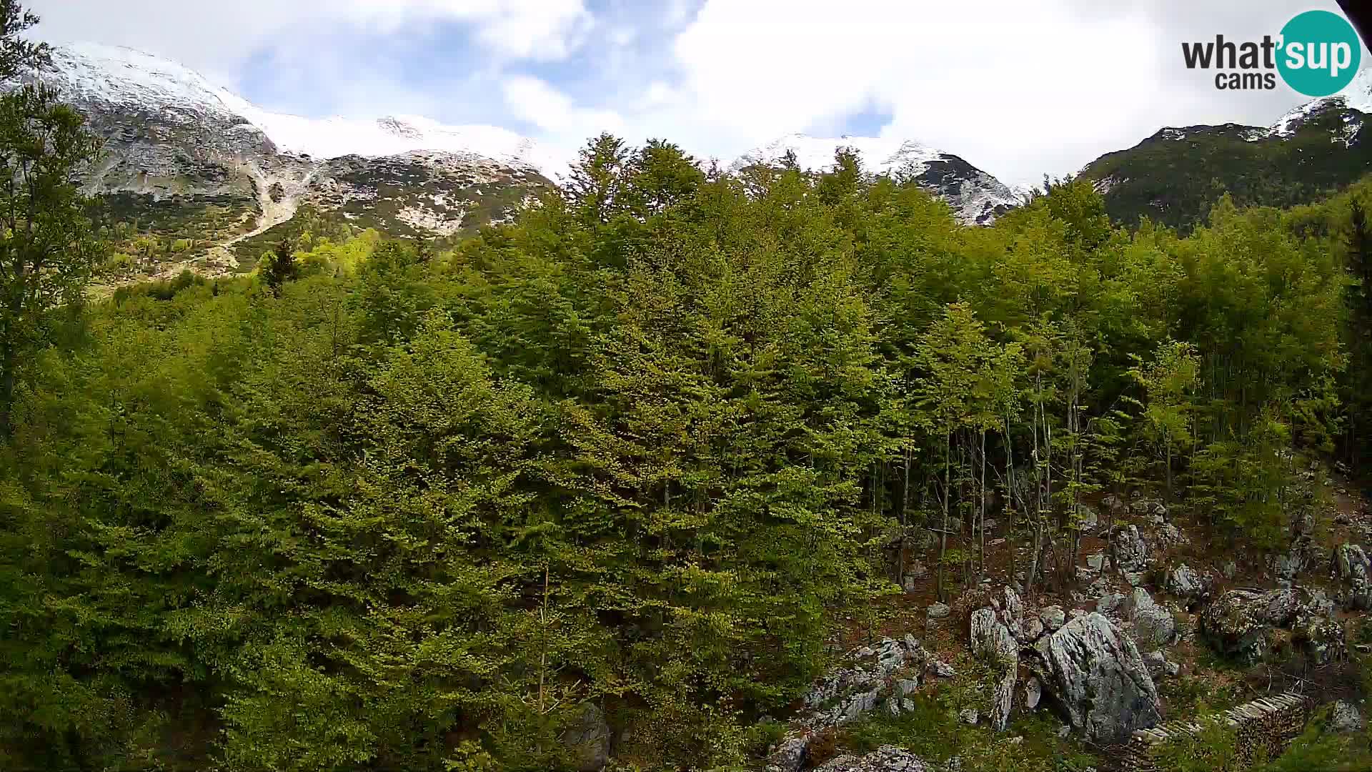 PLANINA RAZOR webcam (1315) | view to Vogel and Globoko