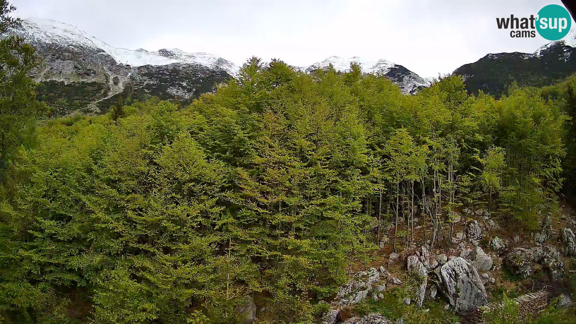 Webcam PLANINA RAZOR (1315) | Blick auf Vogel und Globoko