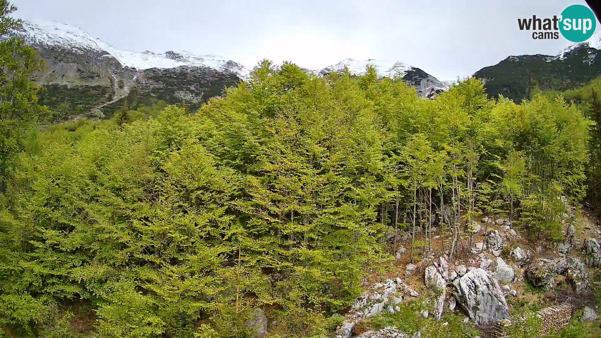 PLANINA RAZOR Live Cam (1315) | vista su Vogel e Globoko