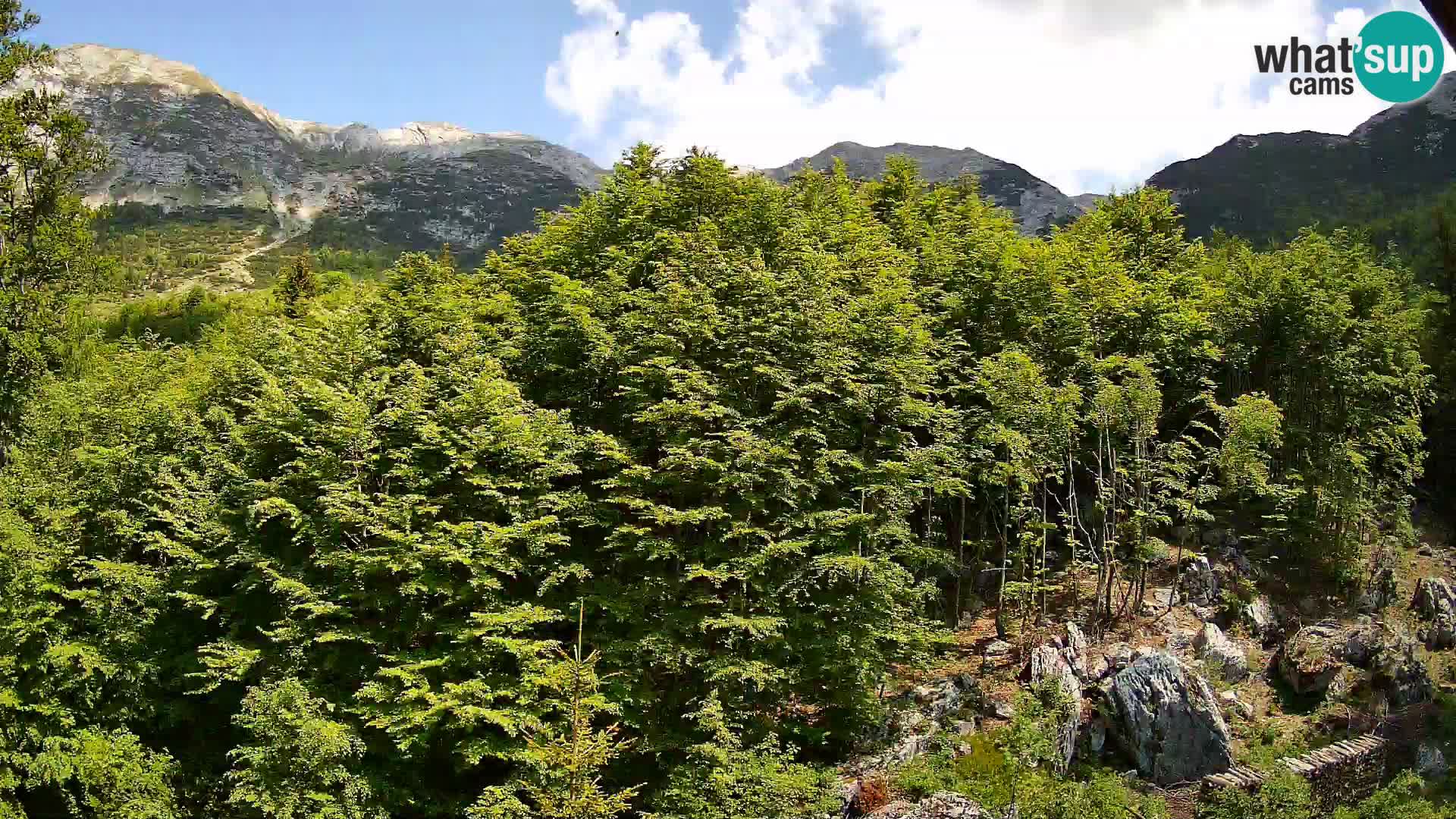 Webcam PLANINA RAZOR (1315) | Blick auf Vogel und Globoko