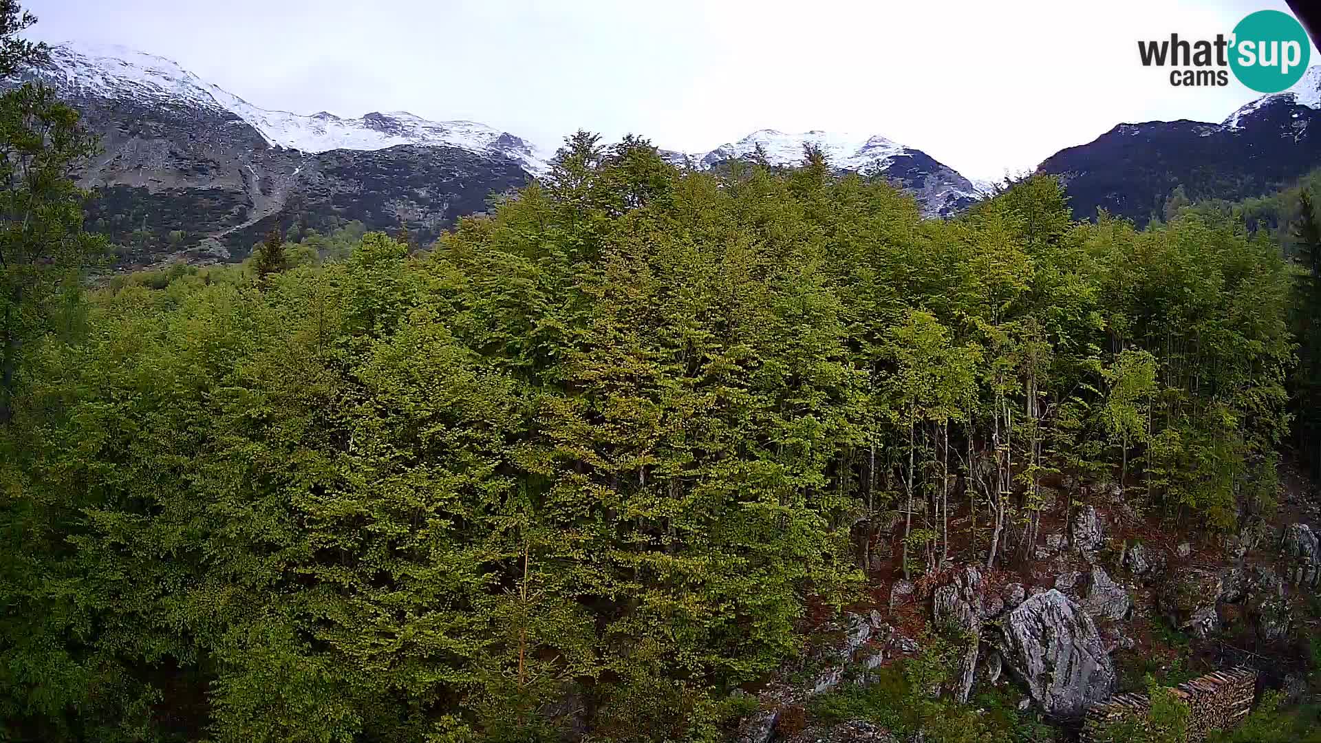 PLANINA RAZOR Live Cam (1315) | vista su Vogel e Globoko