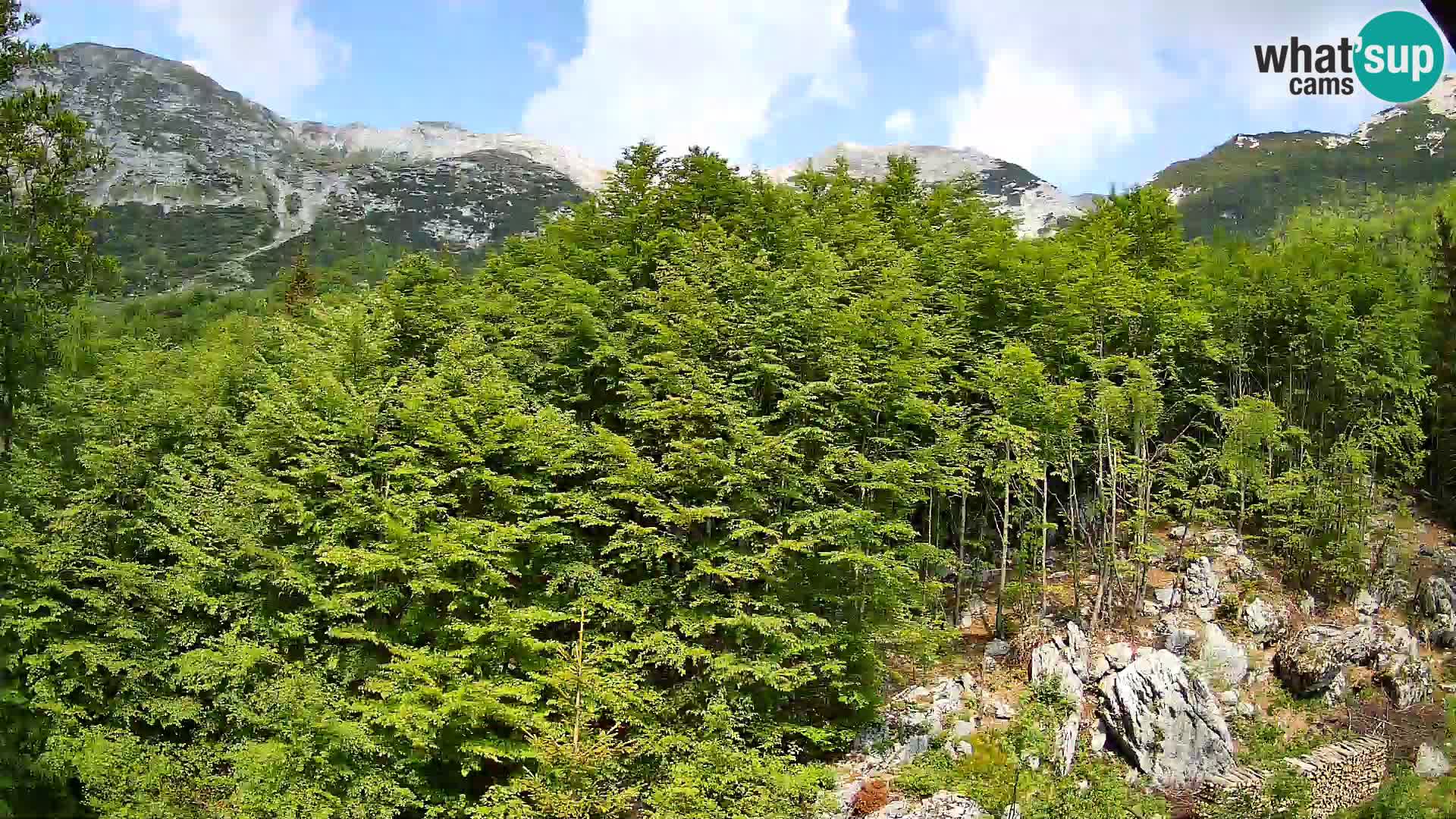 PLANINA RAZOR webcam (1315) | view to Vogel and Globoko
