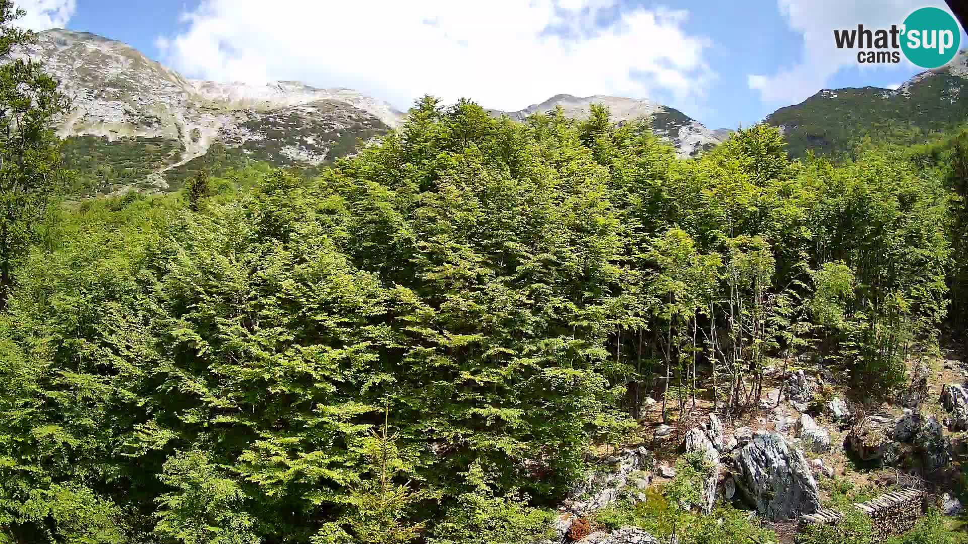 Livecam PLANINA RAZOR (1315) | vue sur Vogel et Globoko