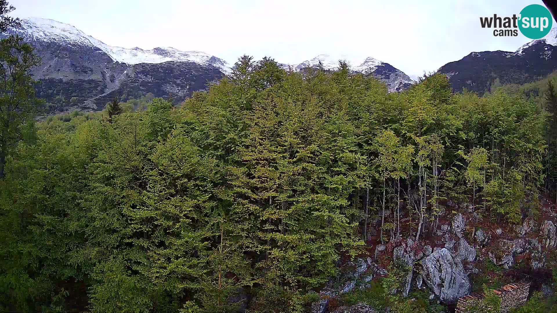 PLANINA RAZOR web kamera (1315) | pogled na Vogel i Globoko