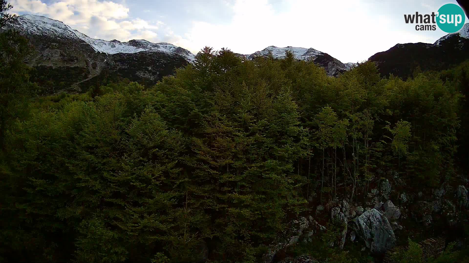 Livecam PLANINA RAZOR (1315) | vue sur Vogel et Globoko
