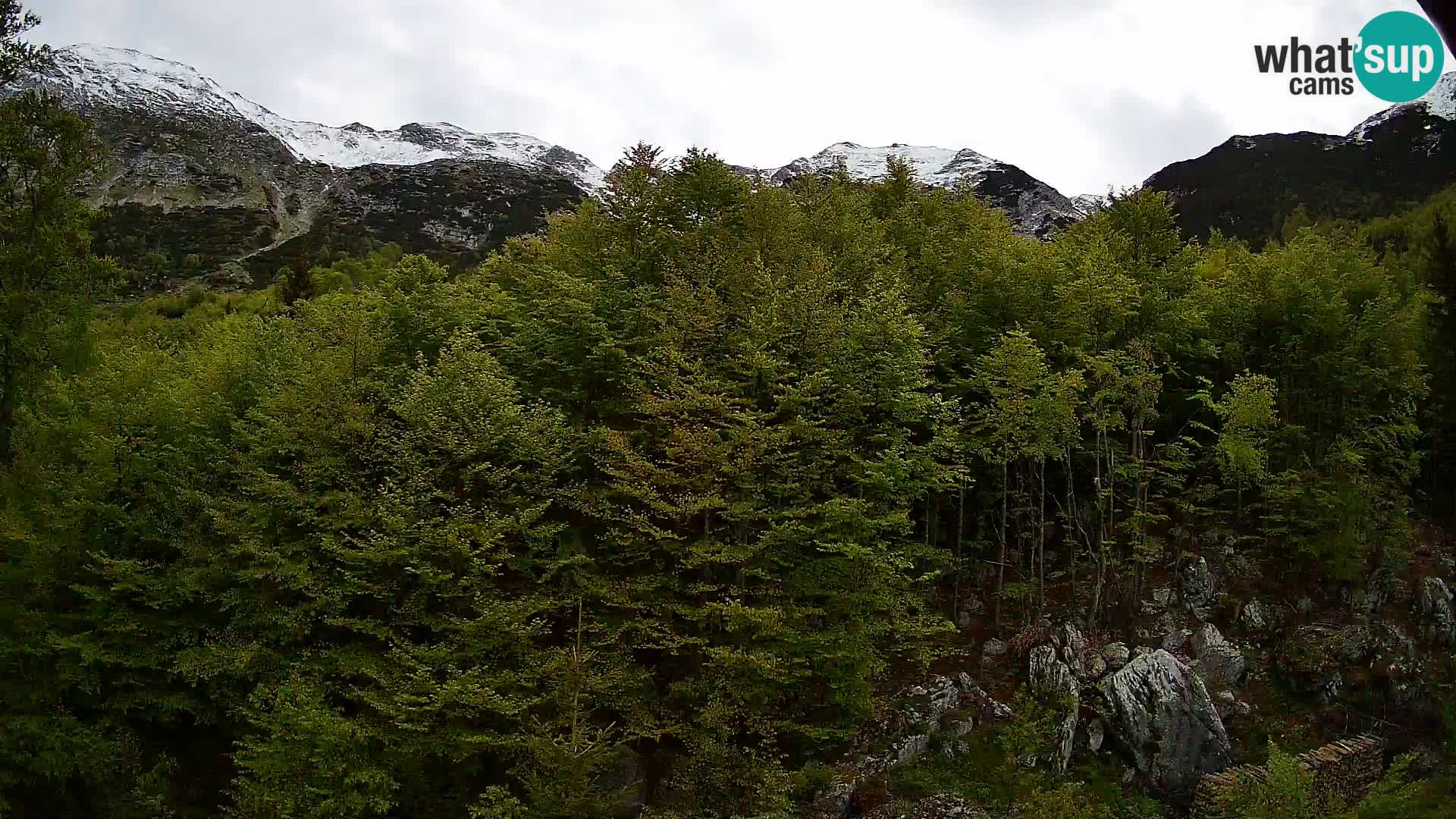 PLANINA RAZOR kamera (1315) | pogled na Vogel in Globoko
