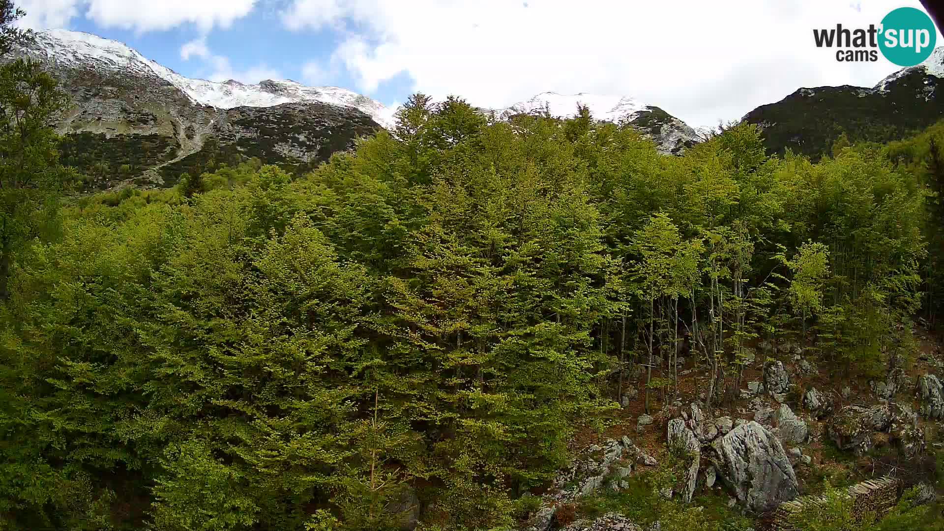 PLANINA RAZOR webcam (1315) | view to Vogel and Globoko