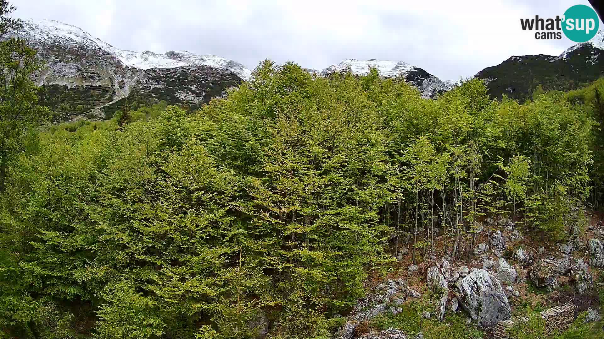 Cámara web PLANINA RAZOR (1315) | vista a Vogel y Globoko