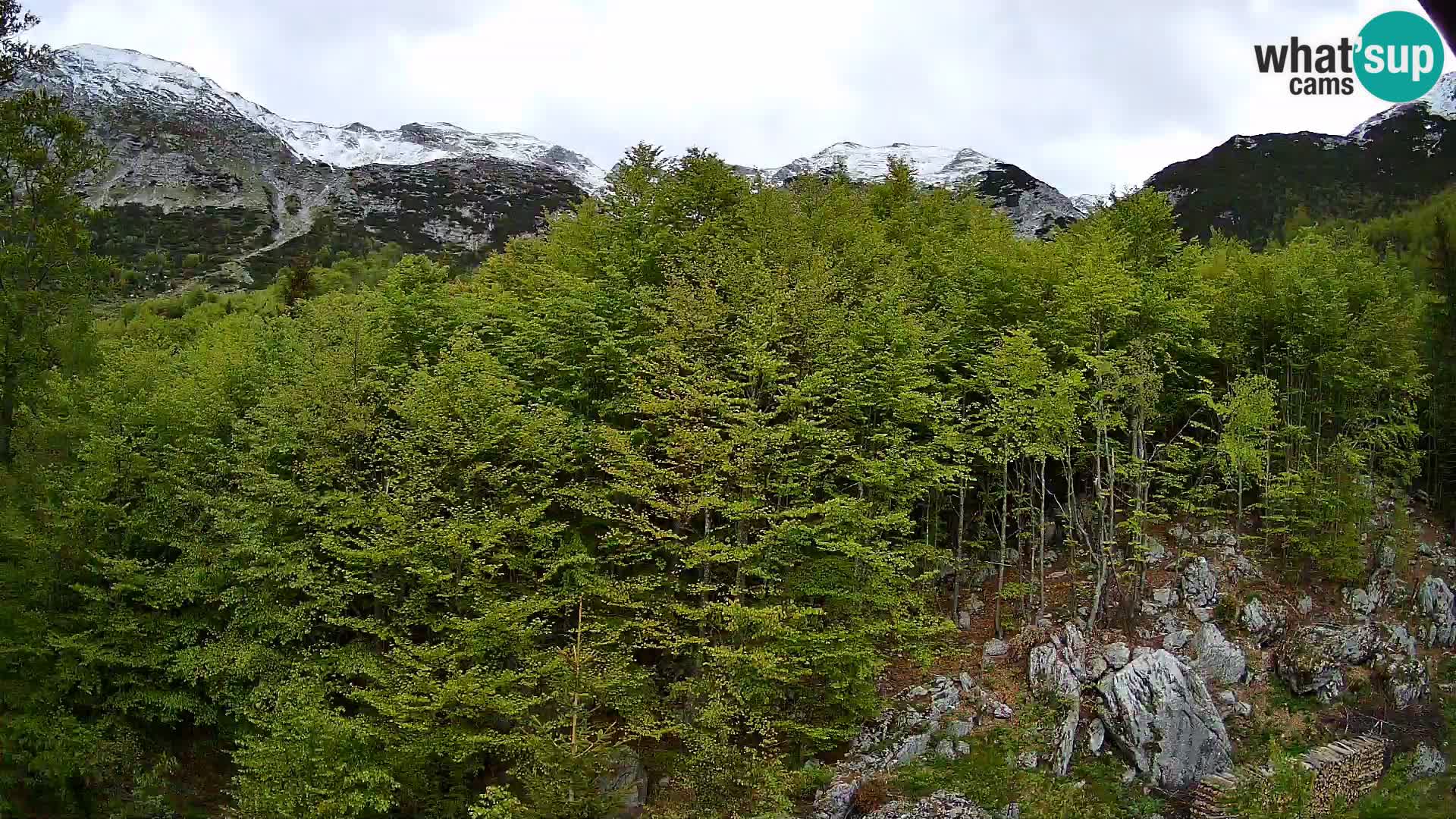 Livecam PLANINA RAZOR (1315) | vue sur Vogel et Globoko