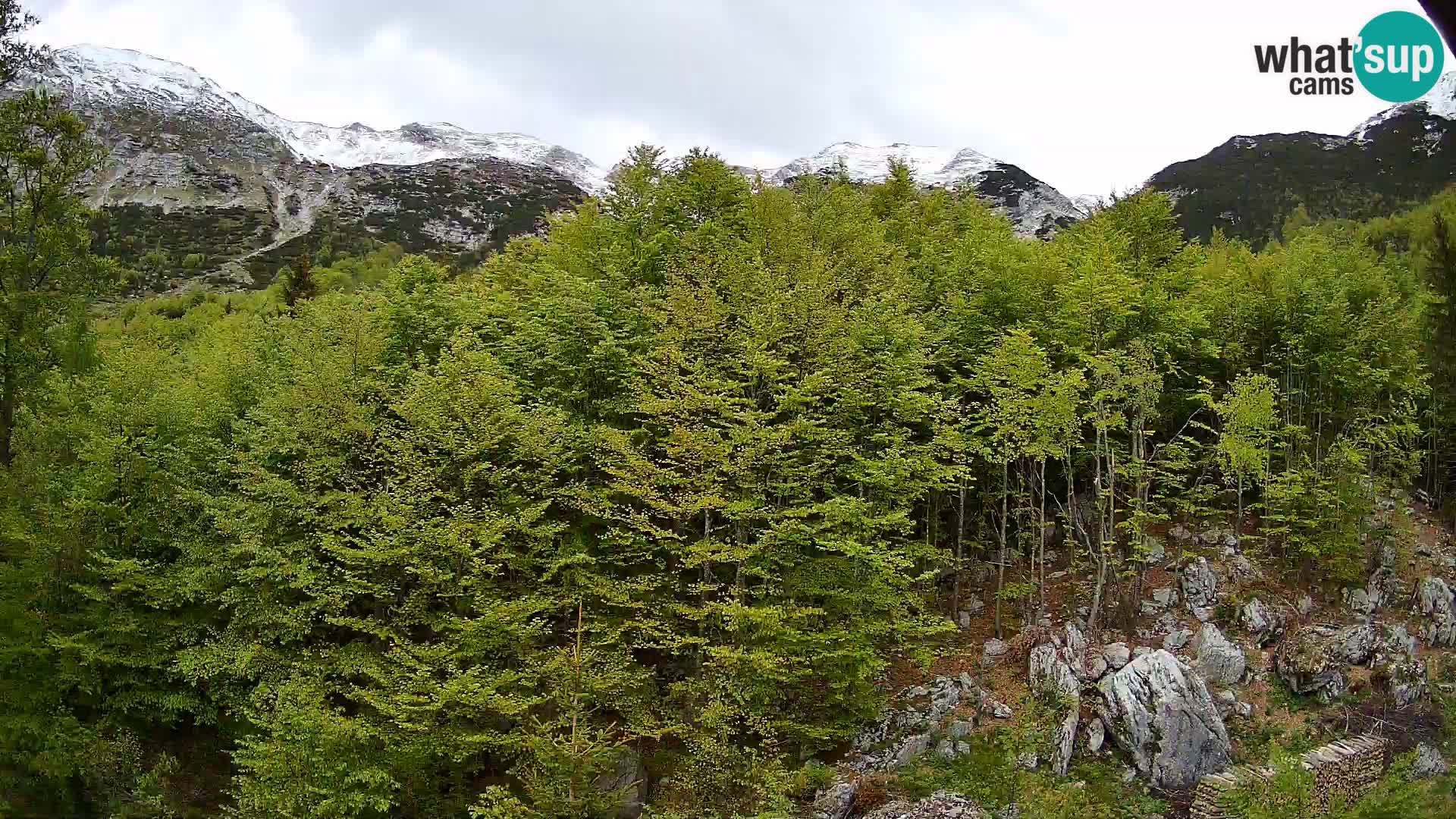 PLANINA RAZOR web kamera (1315) | pogled na Vogel i Globoko