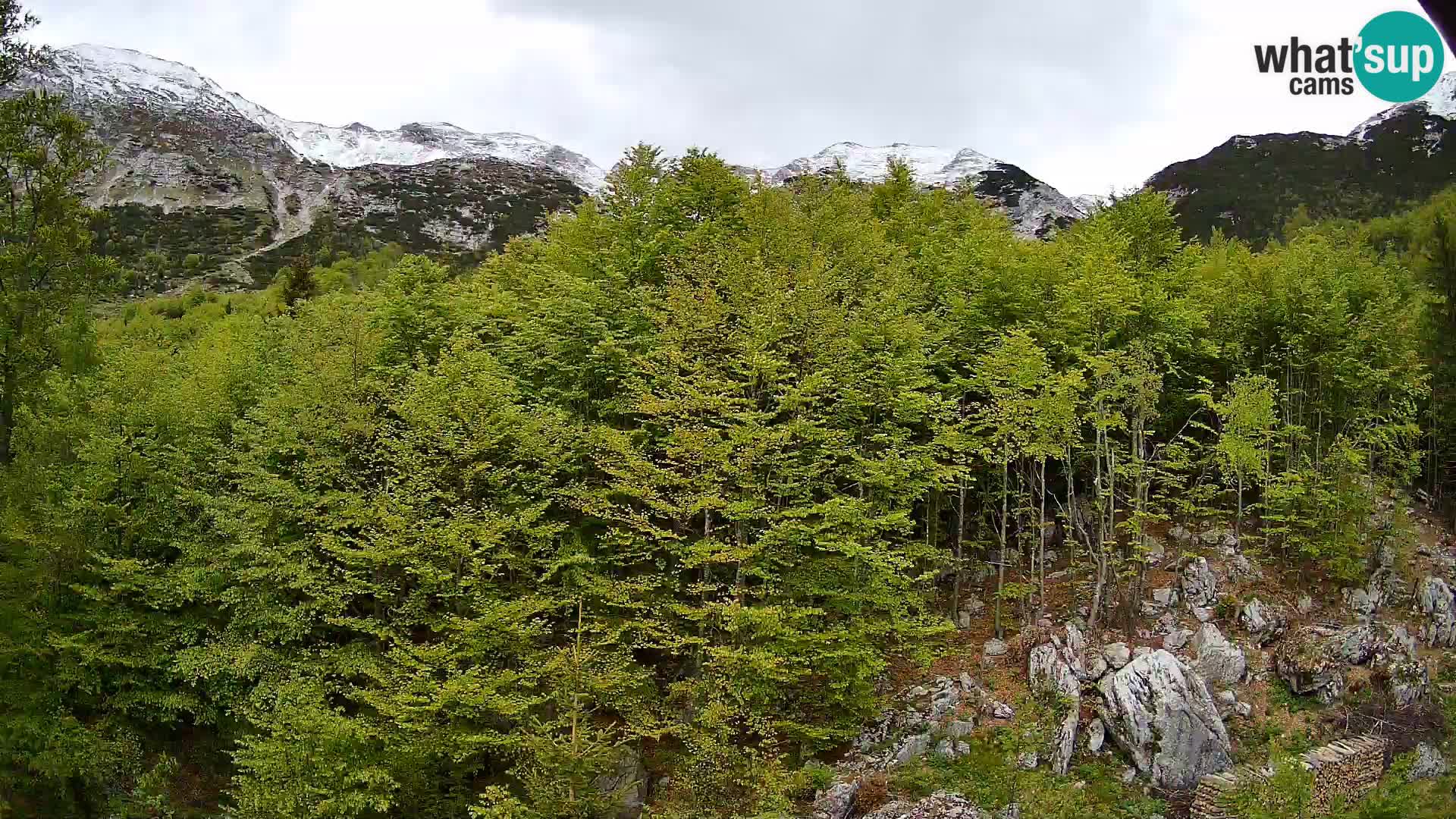 PLANINA RAZOR webcam (1315) | view to Vogel and Globoko