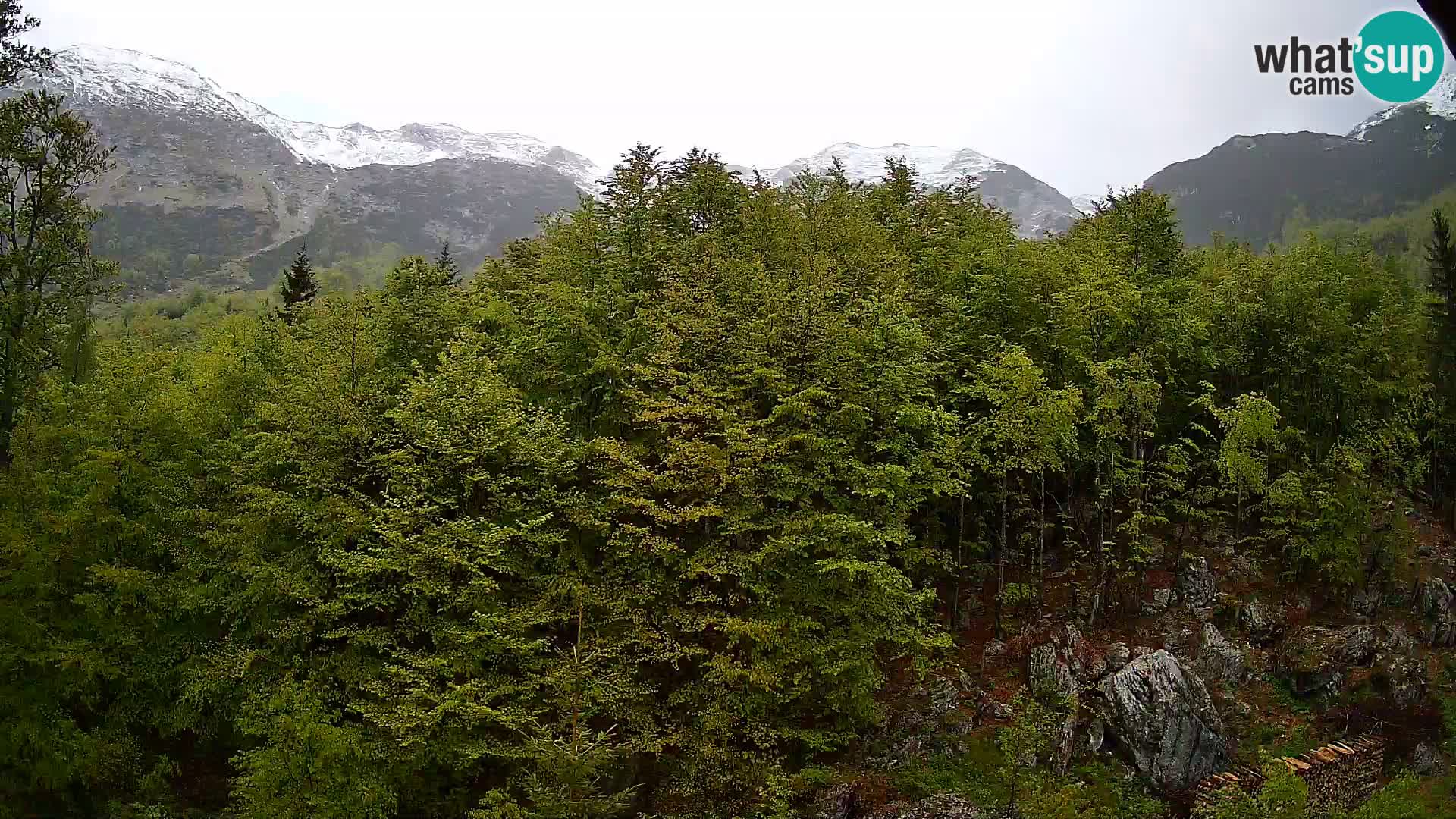 PLANINA RAZOR webcam (1315) | view to Vogel and Globoko