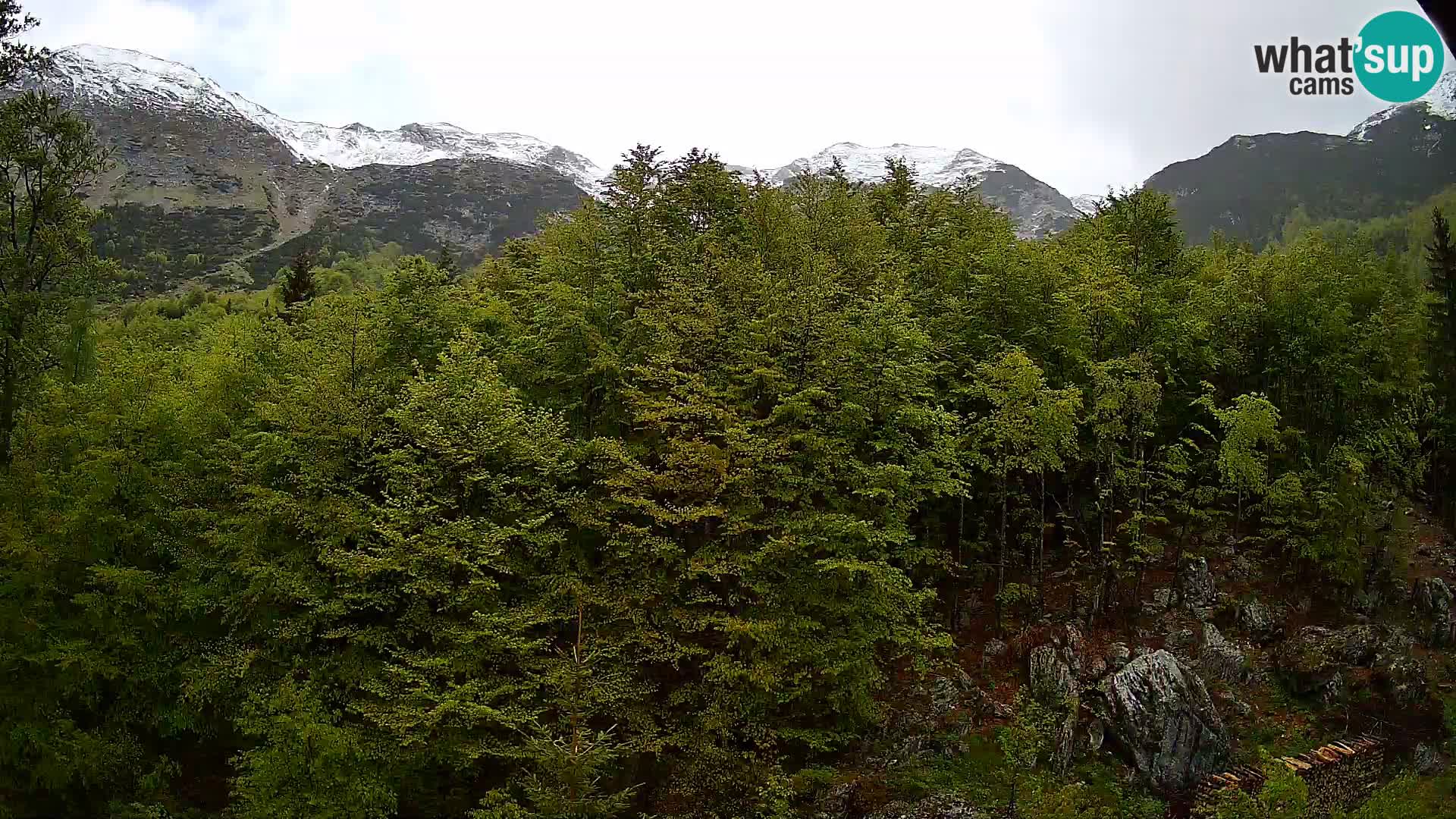 PLANINA RAZOR webcam (1315) | view to Vogel and Globoko